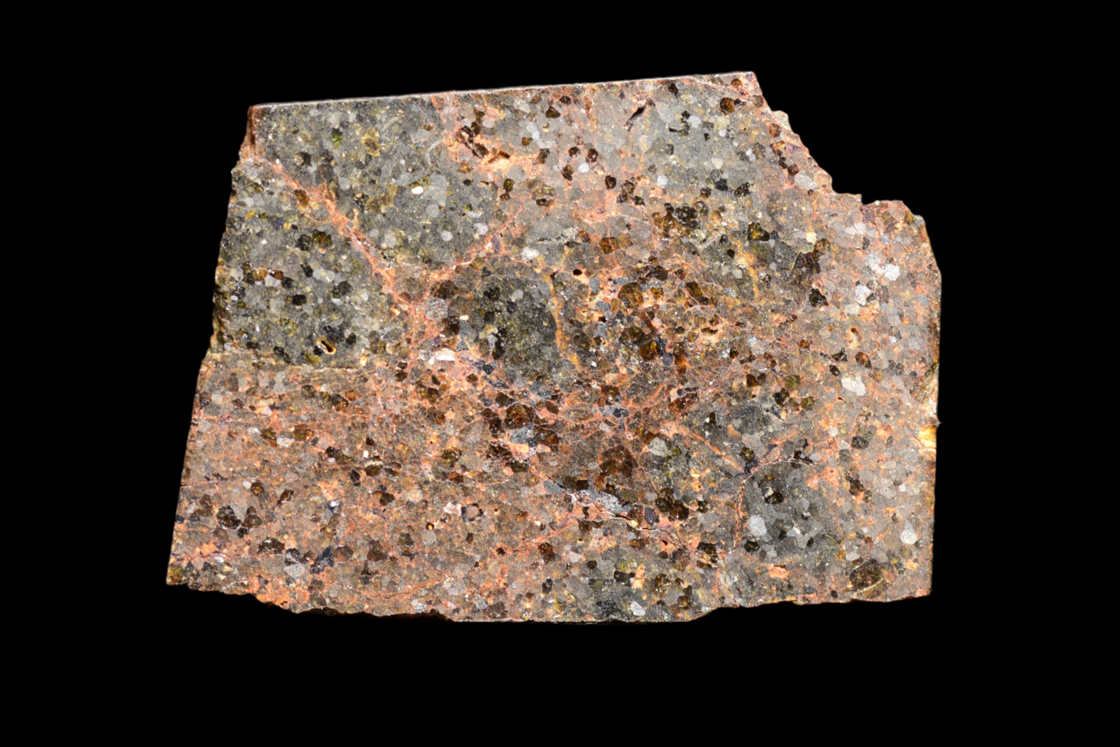 NWA 11756 – Rare Brachinite Meteorite