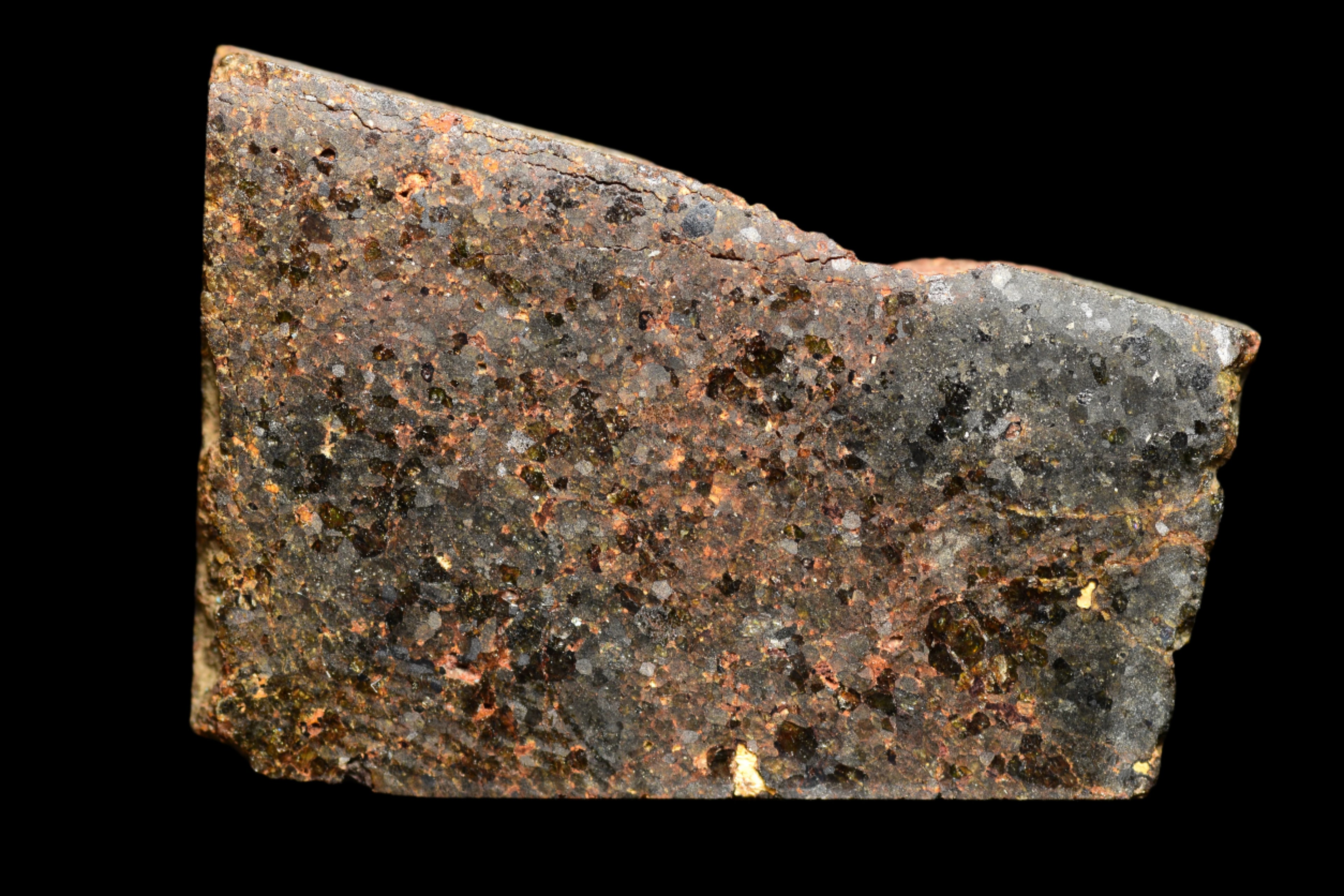 NWA 11756 – Rare Brachinite Meteorite