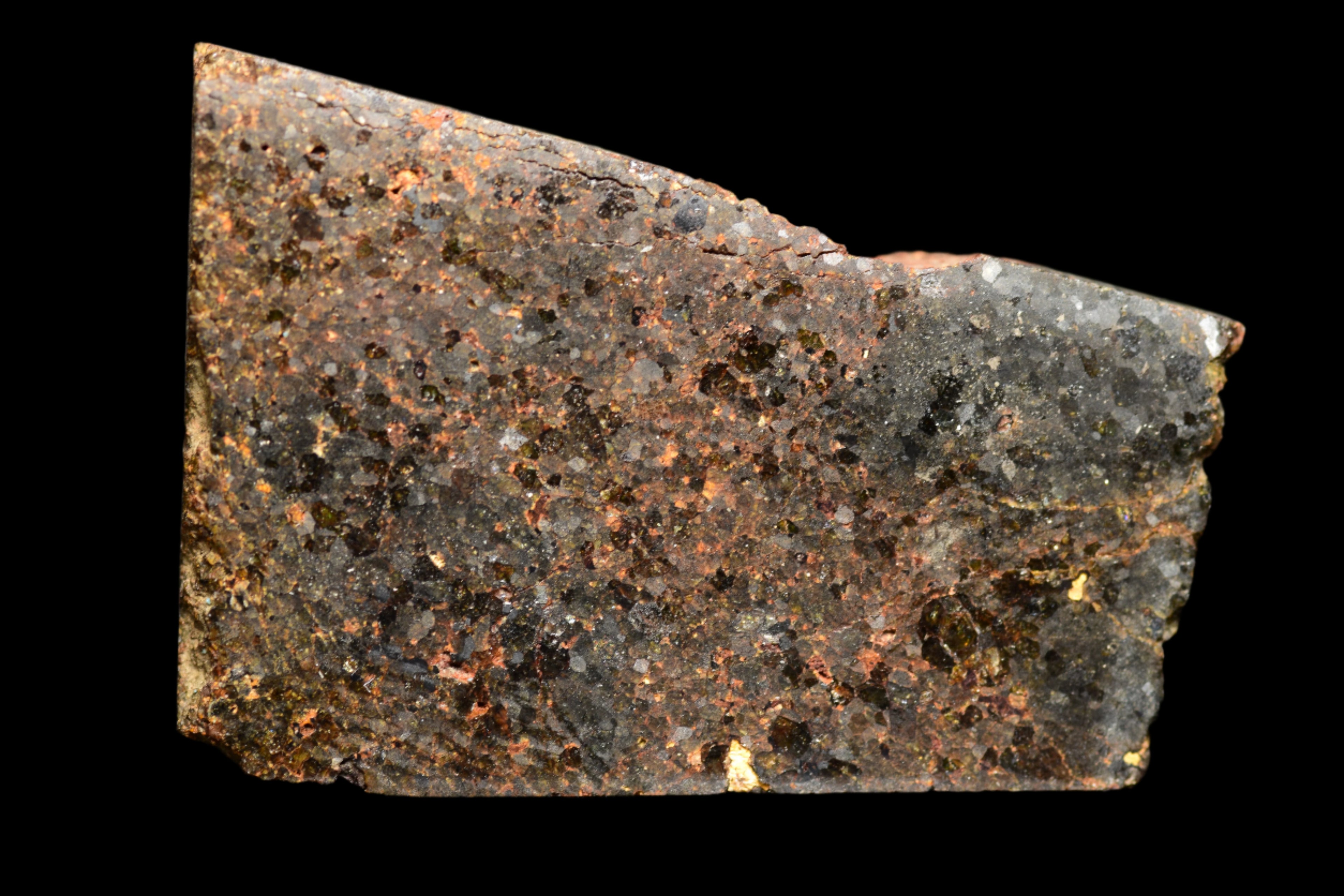 NWA 11756 – Rare Brachinite Meteorite