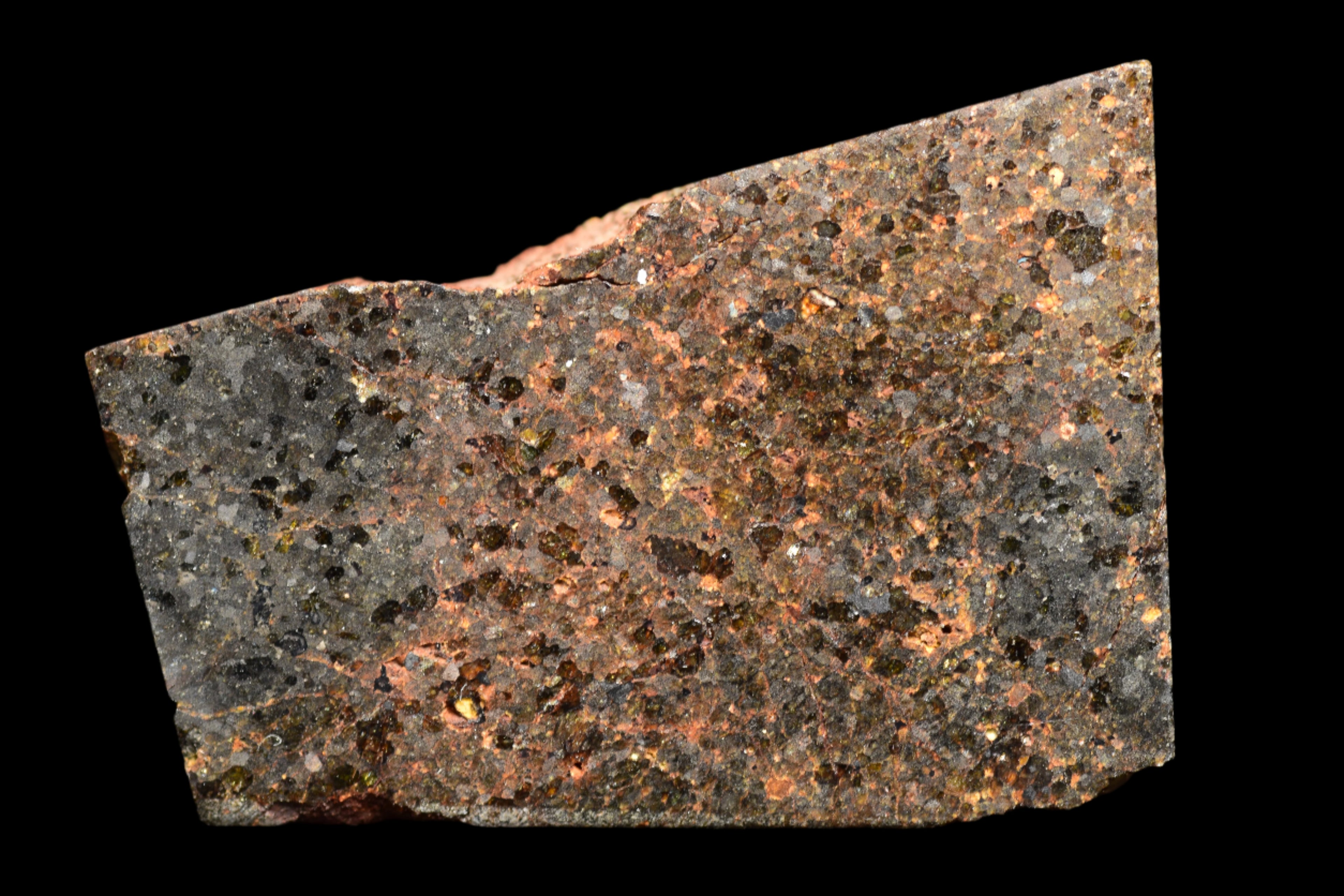 NWA 11756 – Rare Brachinite Meteorite