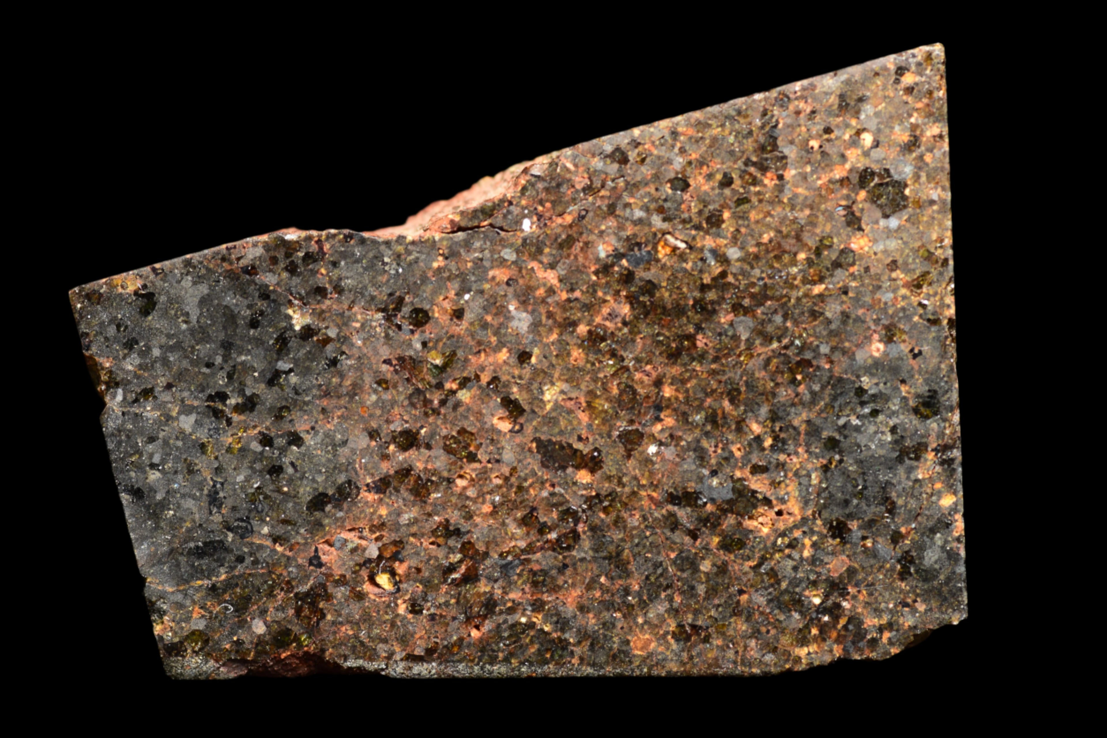 NWA 11756 – Rare Brachinite Meteorite