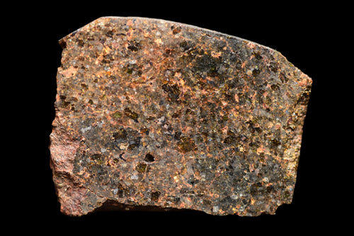 NWA 11756 – Rare Brachinite Meteorite