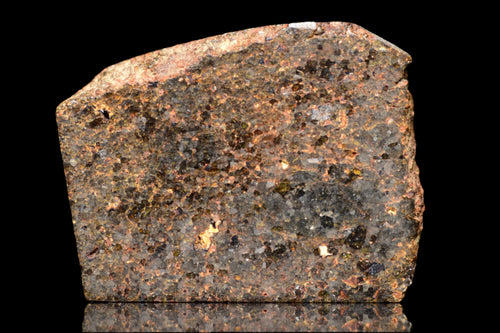 NWA 11756 – Rare Brachinite Meteorite