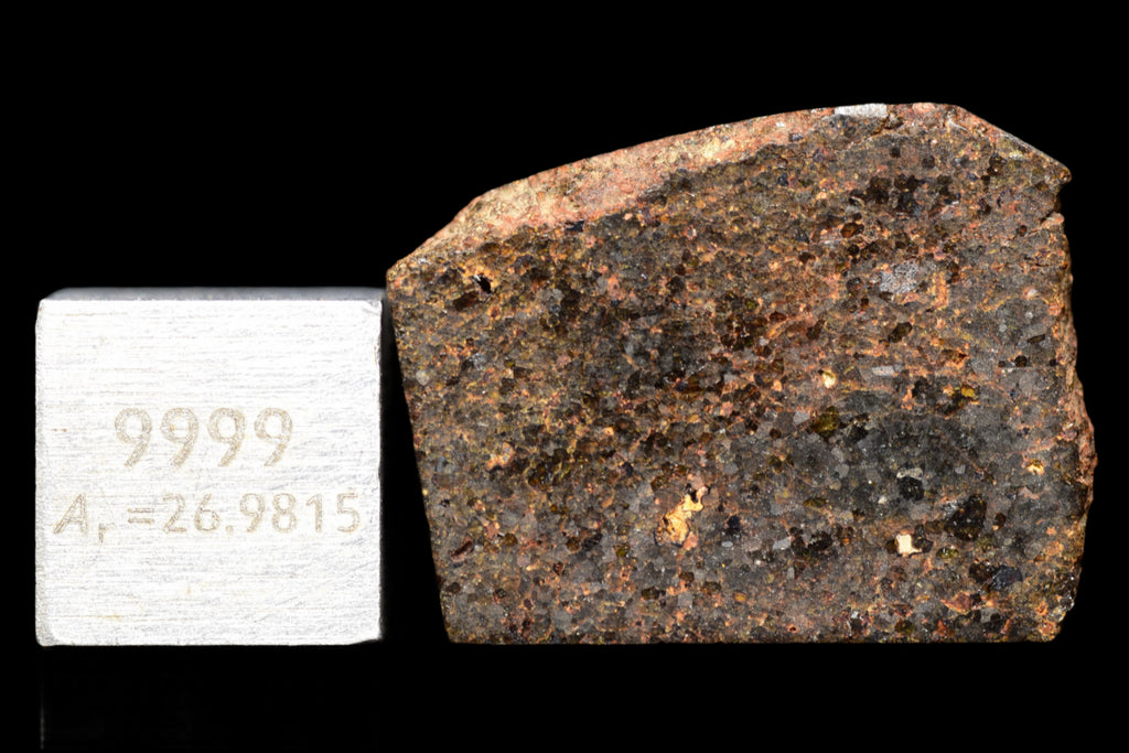 NWA 11756 – Rare Brachinite Meteorite