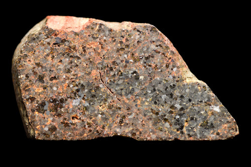 NWA 11756 – Rare Brachinite Meteorite