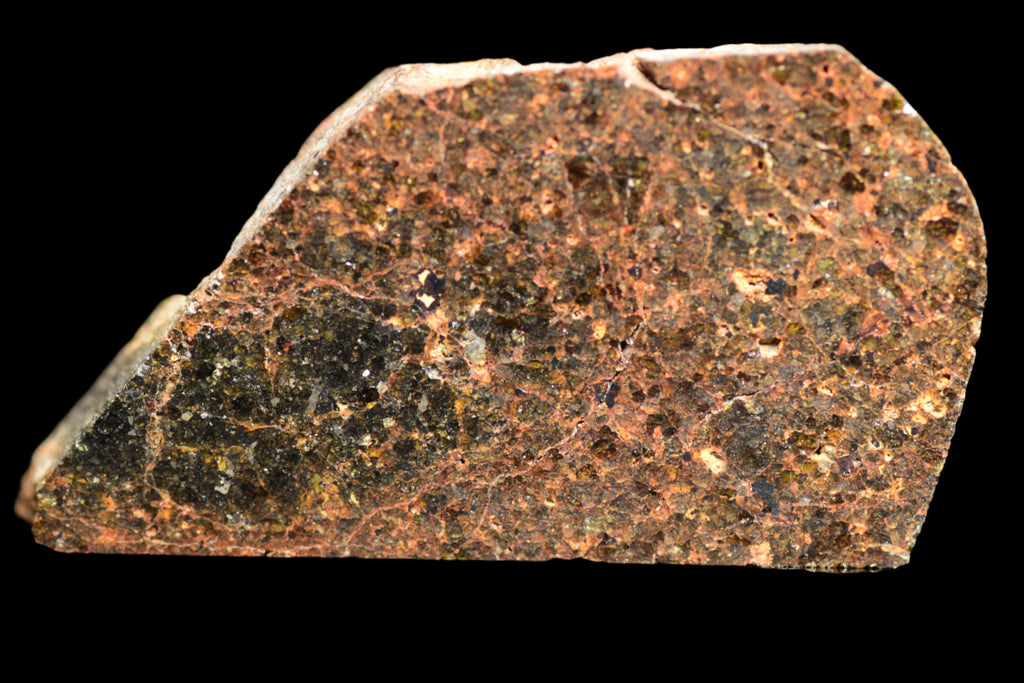 NWA 11756 – Rare Brachinite Meteorite
