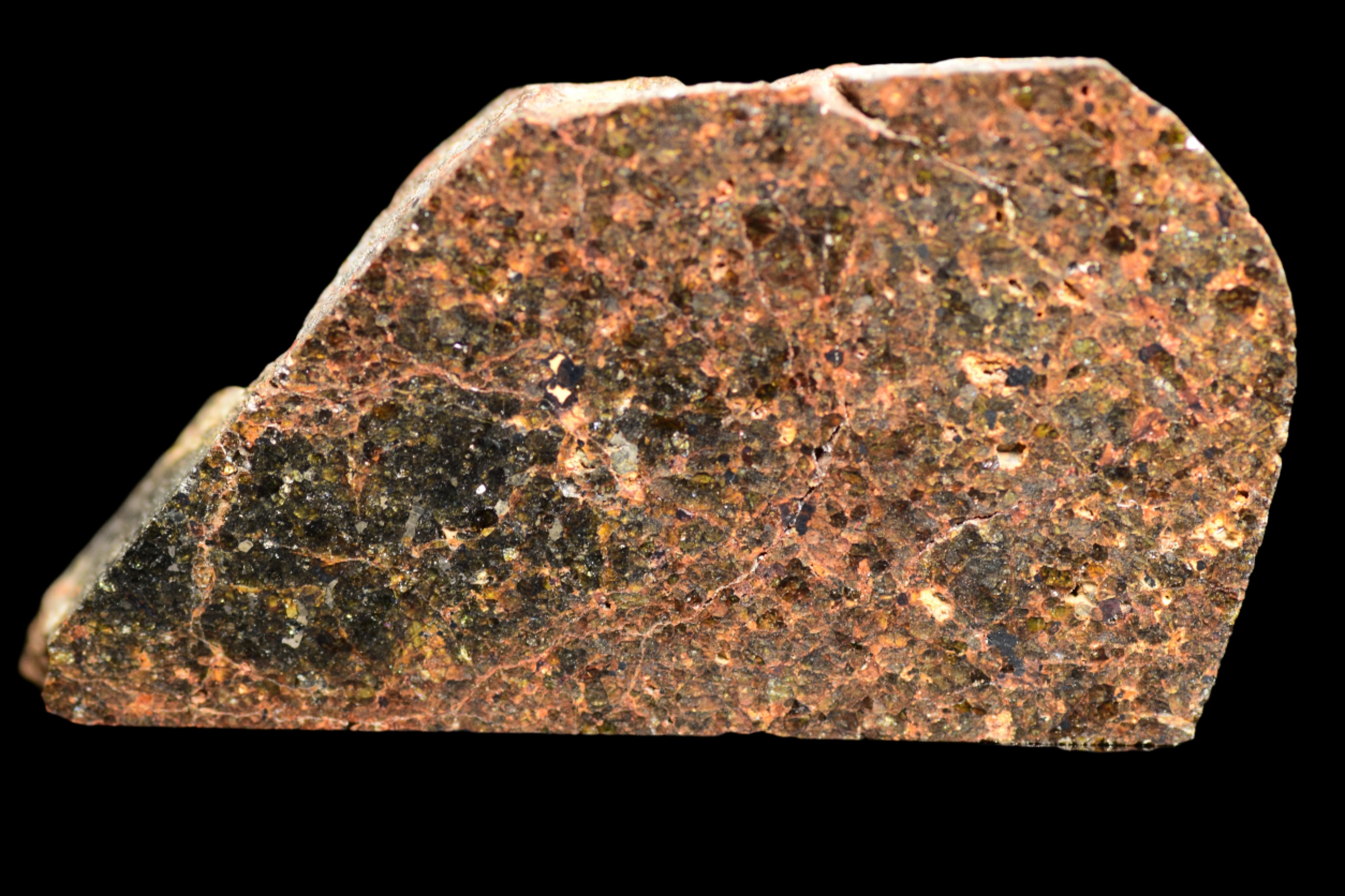 NWA 11756 – Rare Brachinite Meteorite
