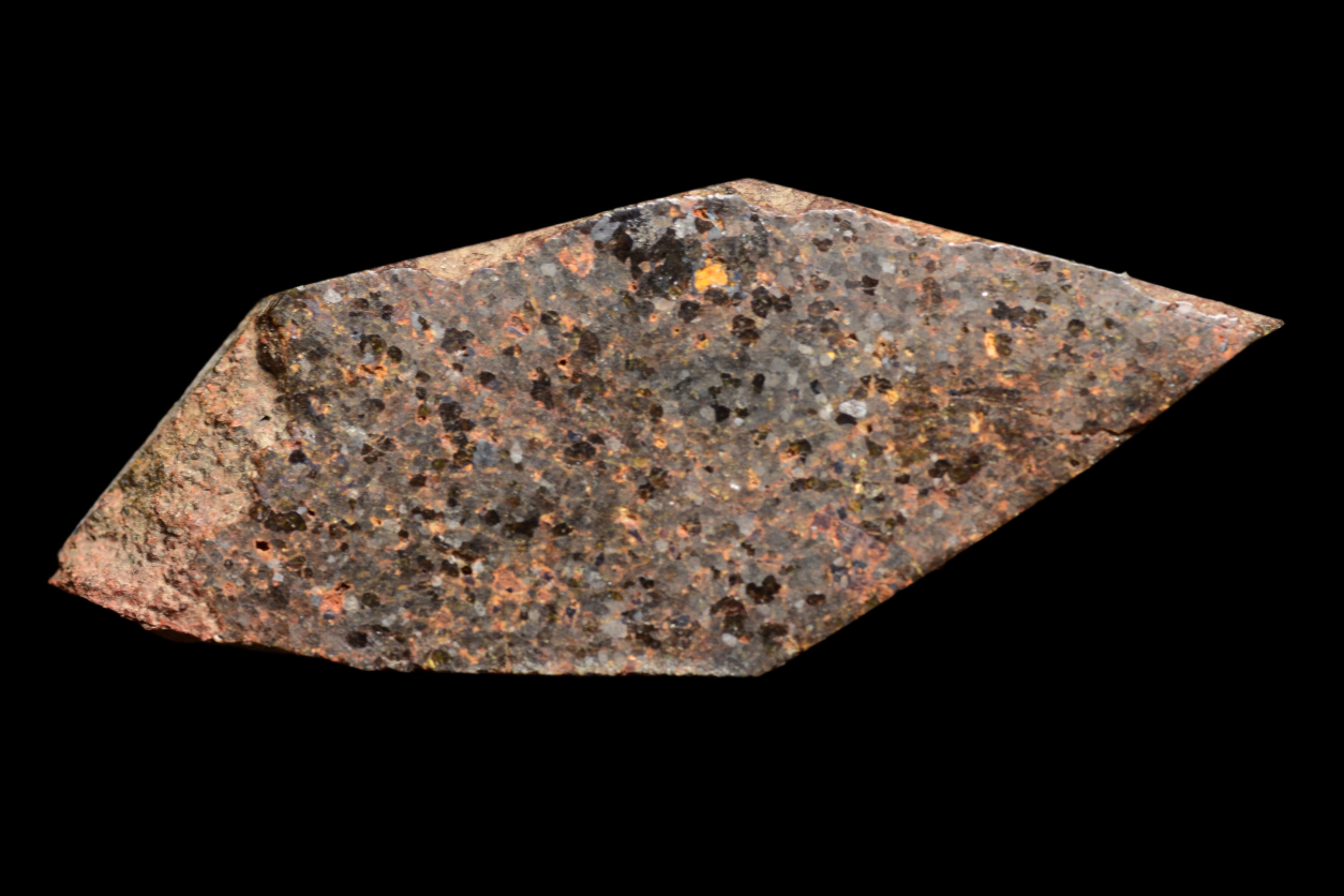 NWA 11756 – Rare Brachinite Meteorite
