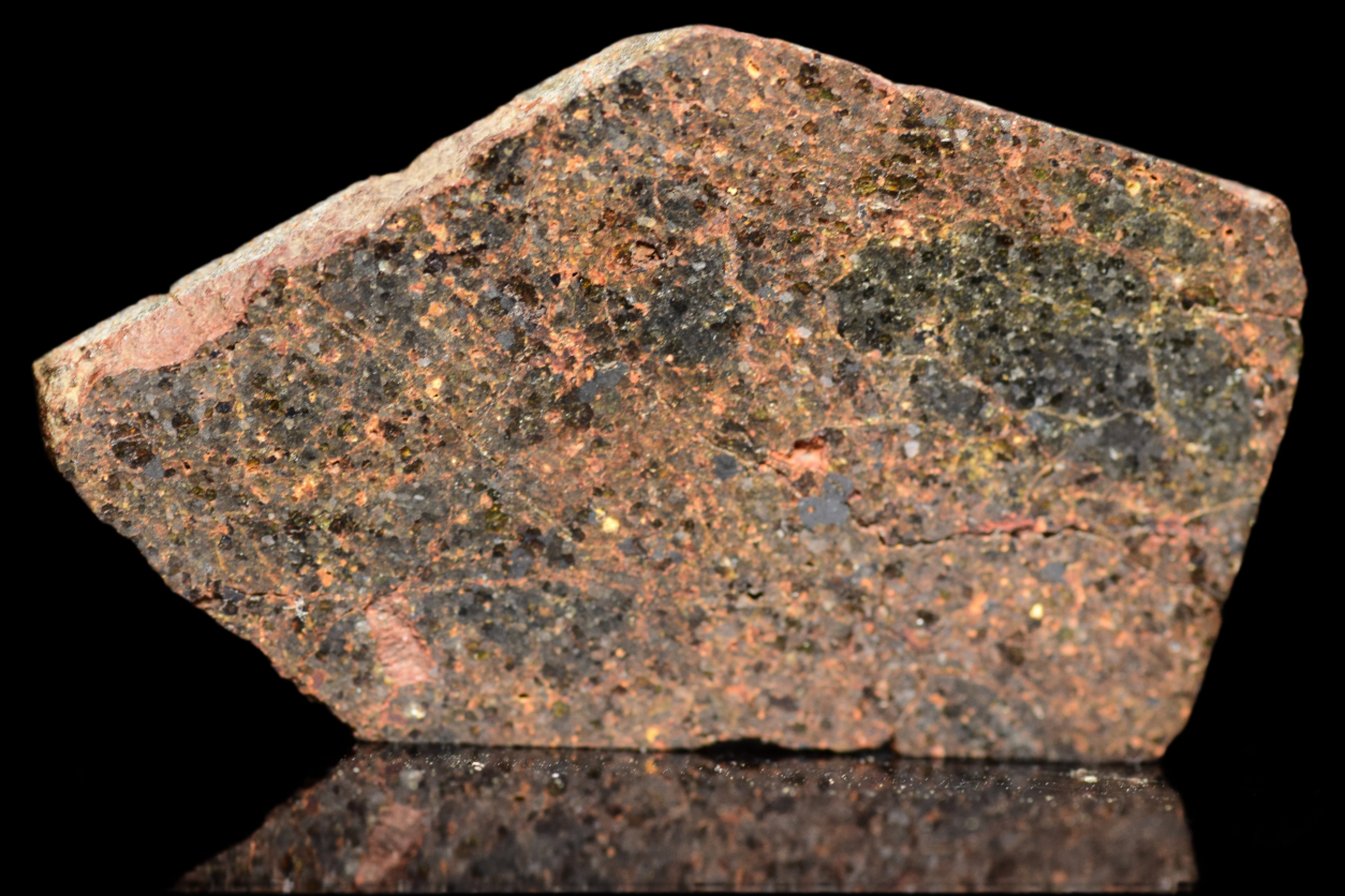 NWA 11756 – Rare Brachinite Meteorite