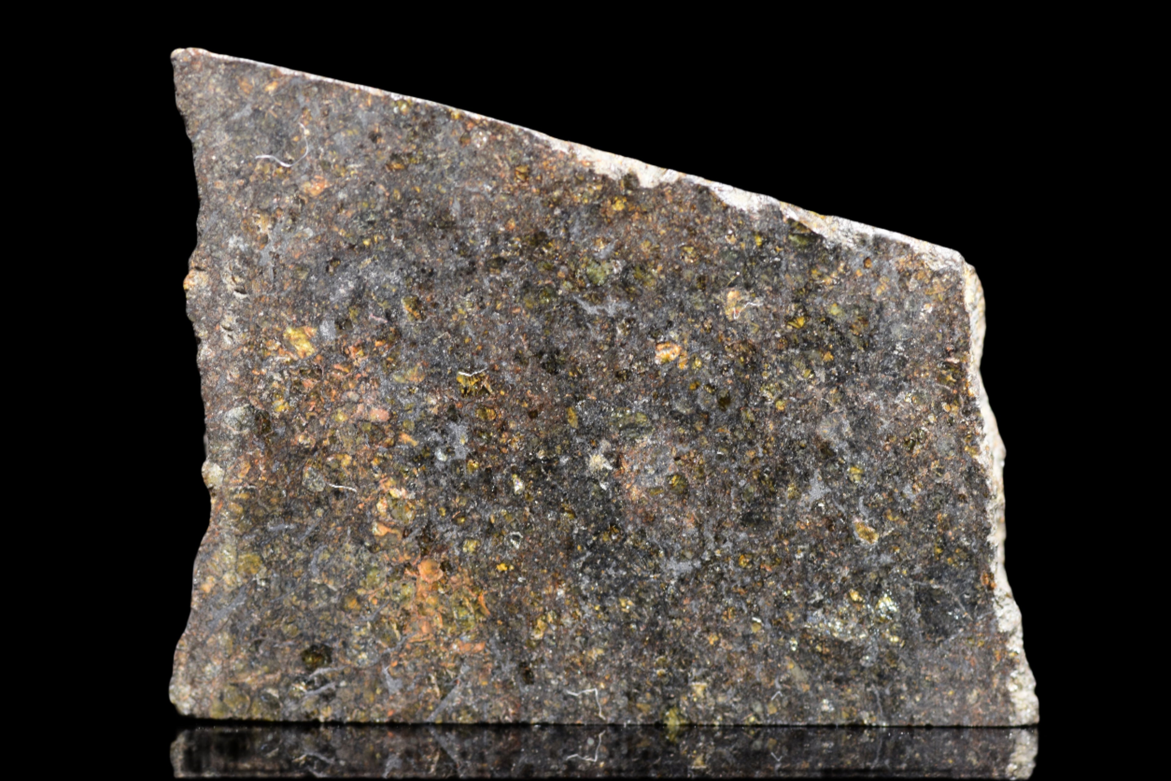 NWA 11757 Ureilite Meteorite For Sale