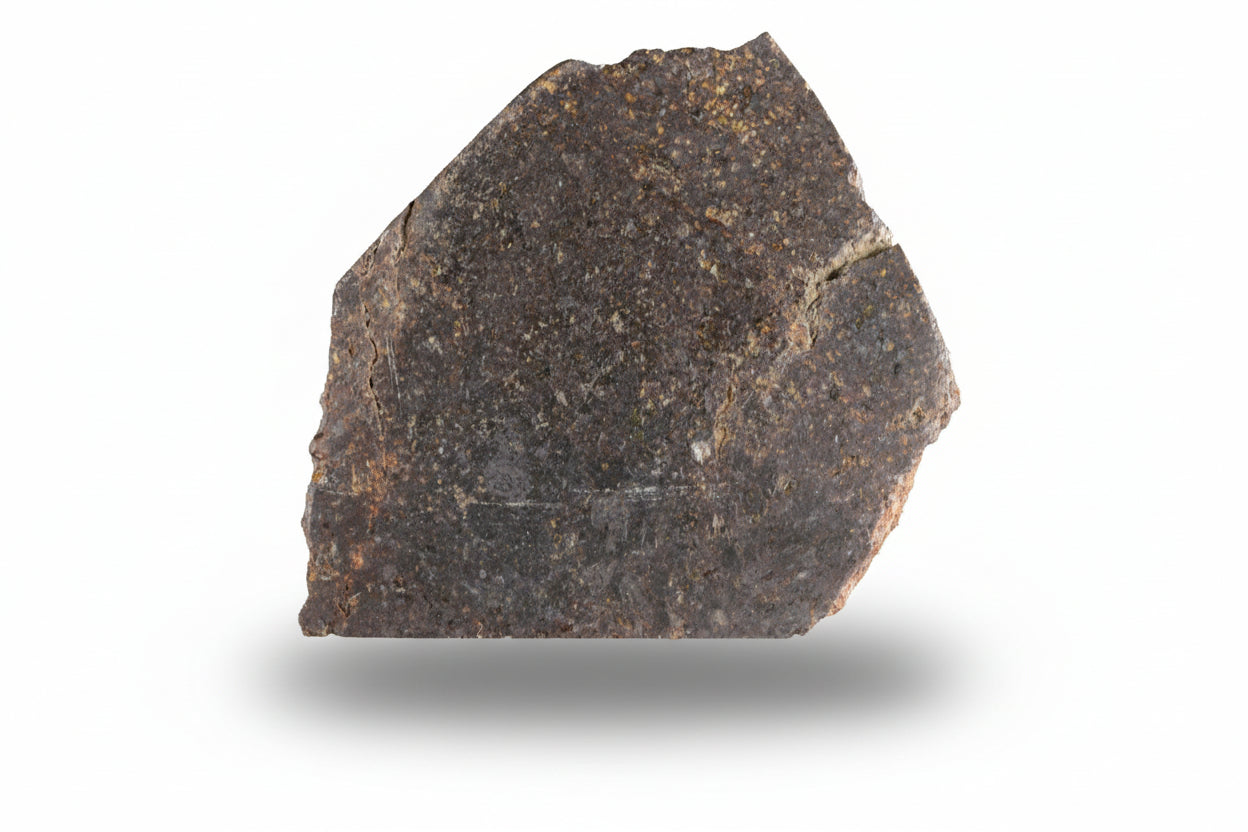 NWA 11757 Ureilite 20.01 G