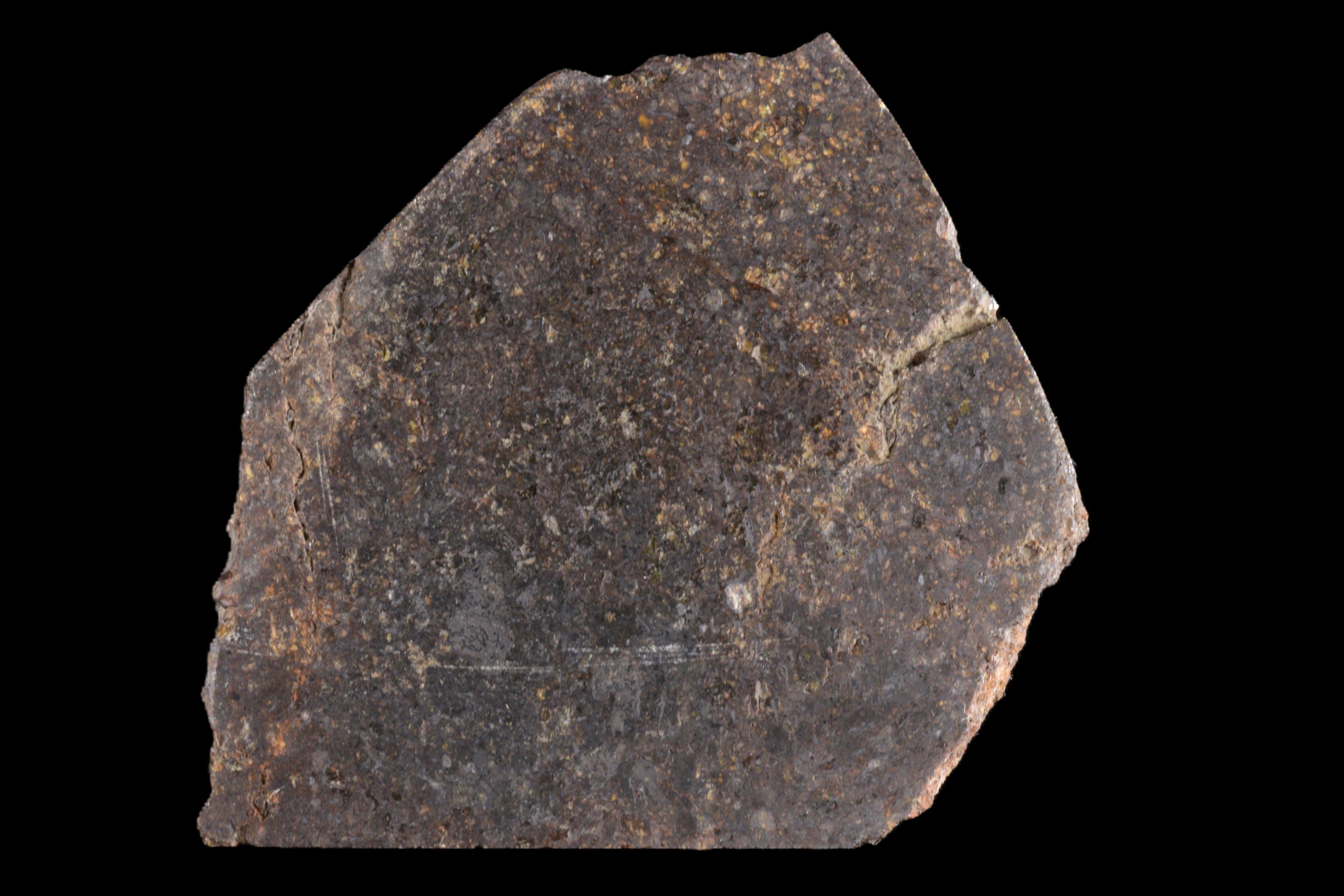 NWA 11757 Ureilite 20.01 G