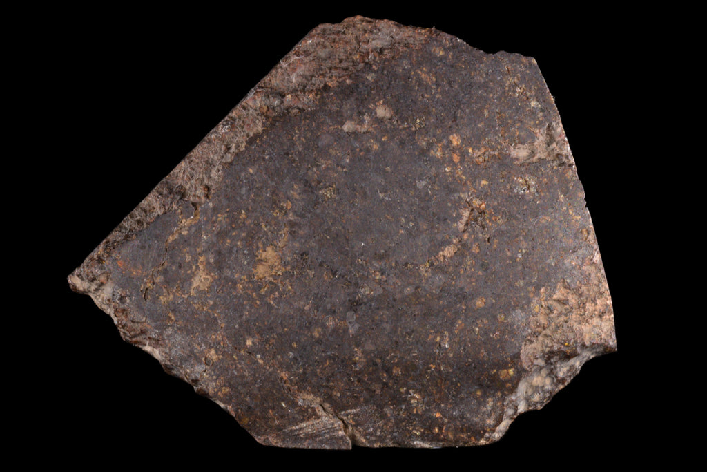 NWA 11757 Ureilite 20.01 G