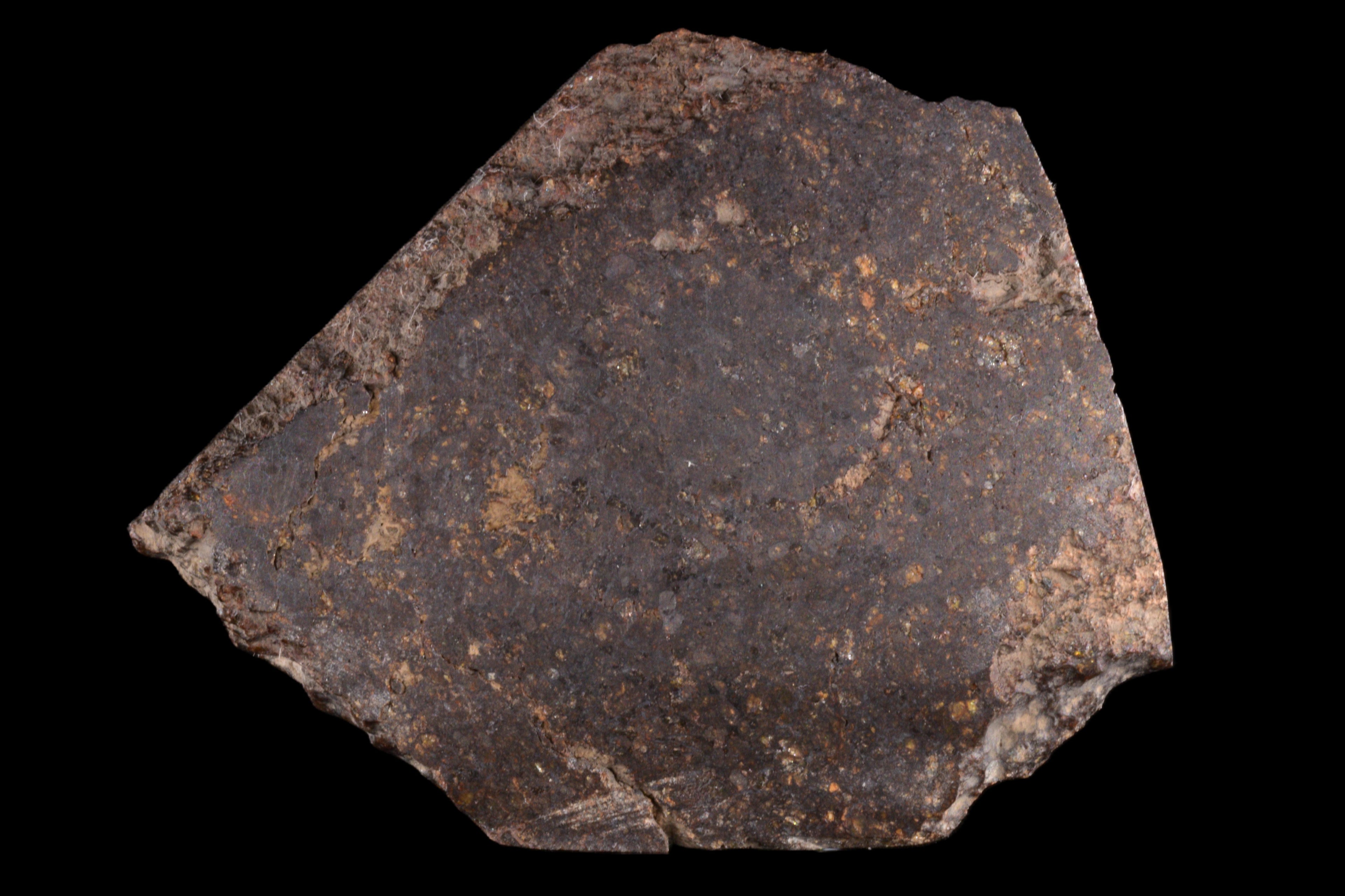 NWA 11757 Ureilite 20.01 G