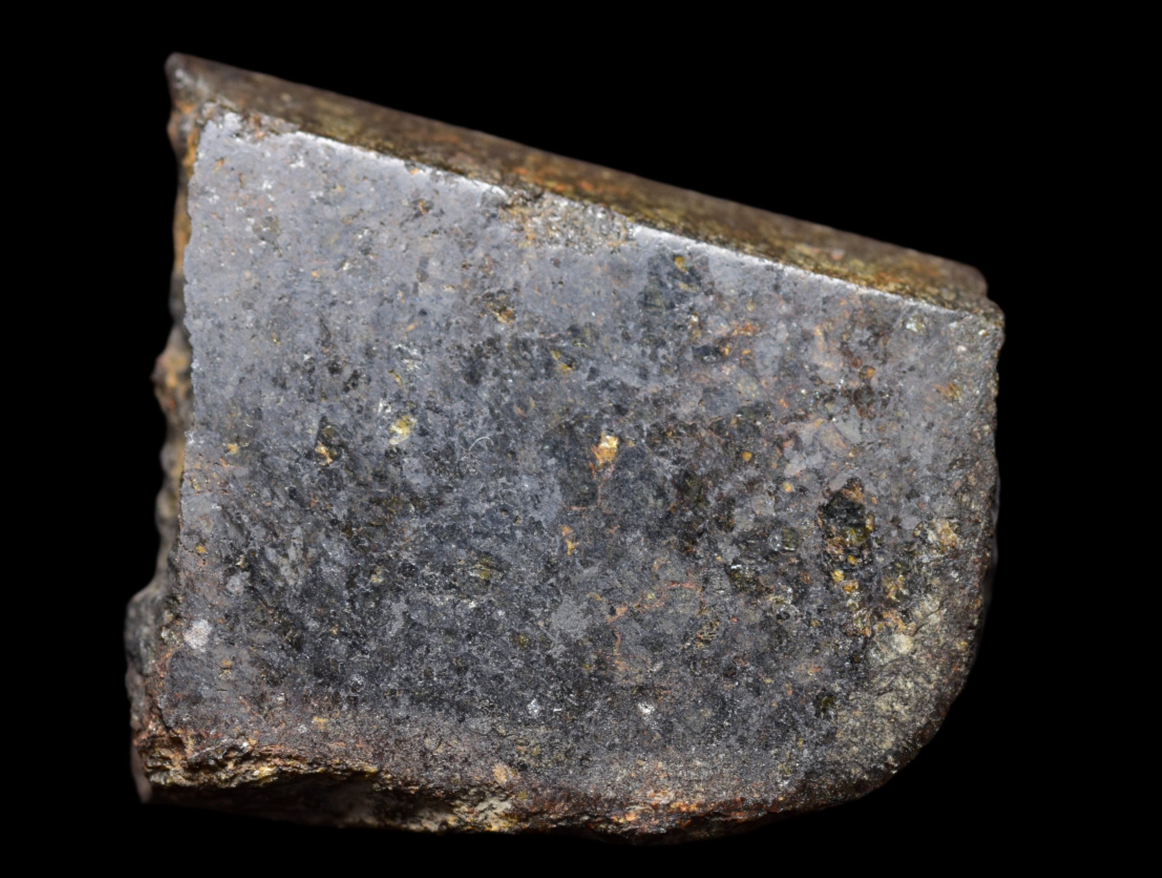 NWA 11757 Ureilite Meteorite For Sale