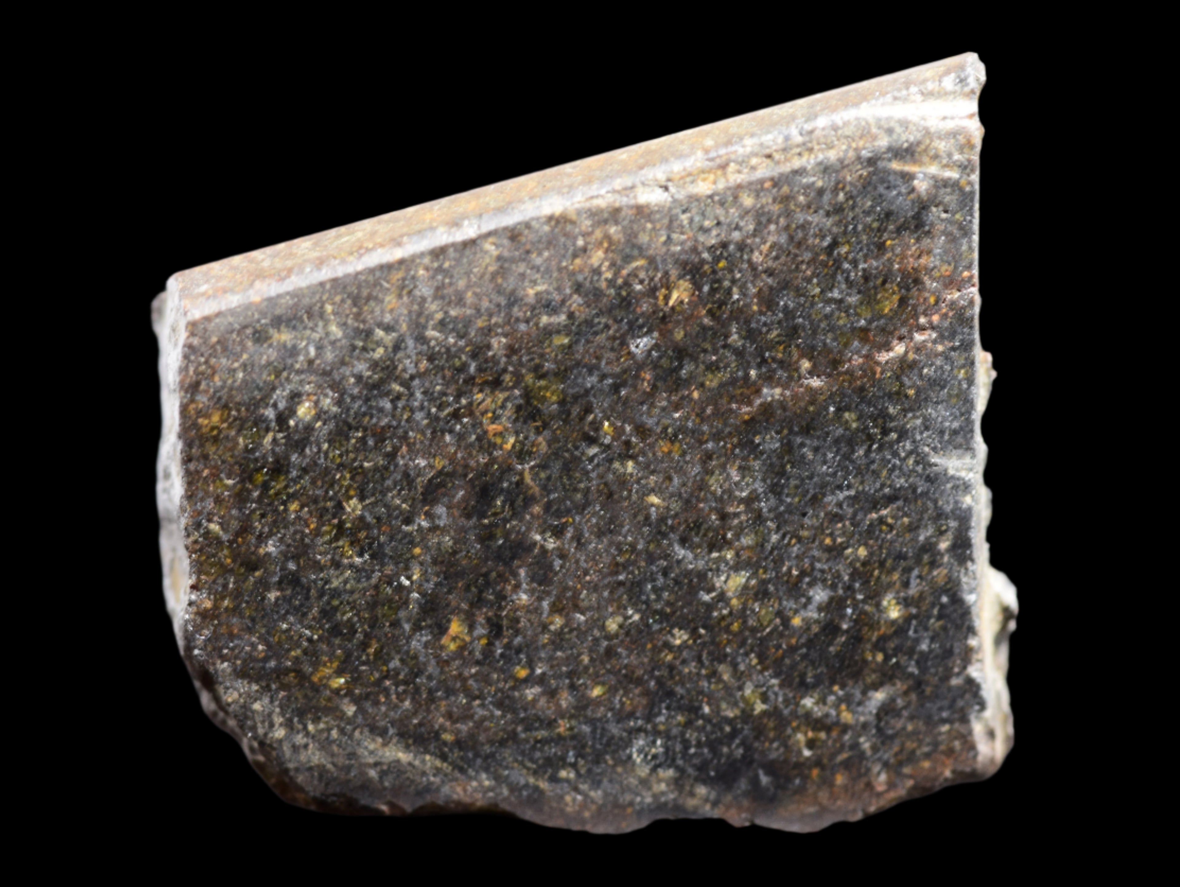 NWA 11757 Ureilite Meteorite For Sale
