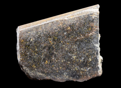 NWA 11757 Ureilite 11.7 G.