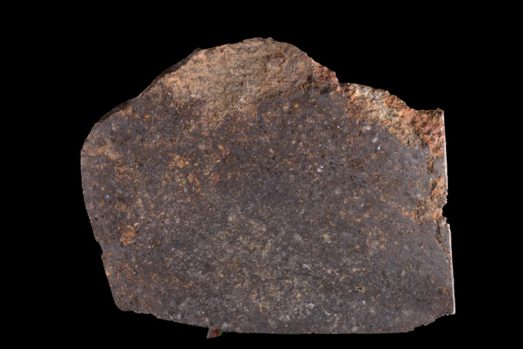 NWA 11757 Ureilite 24.01 G