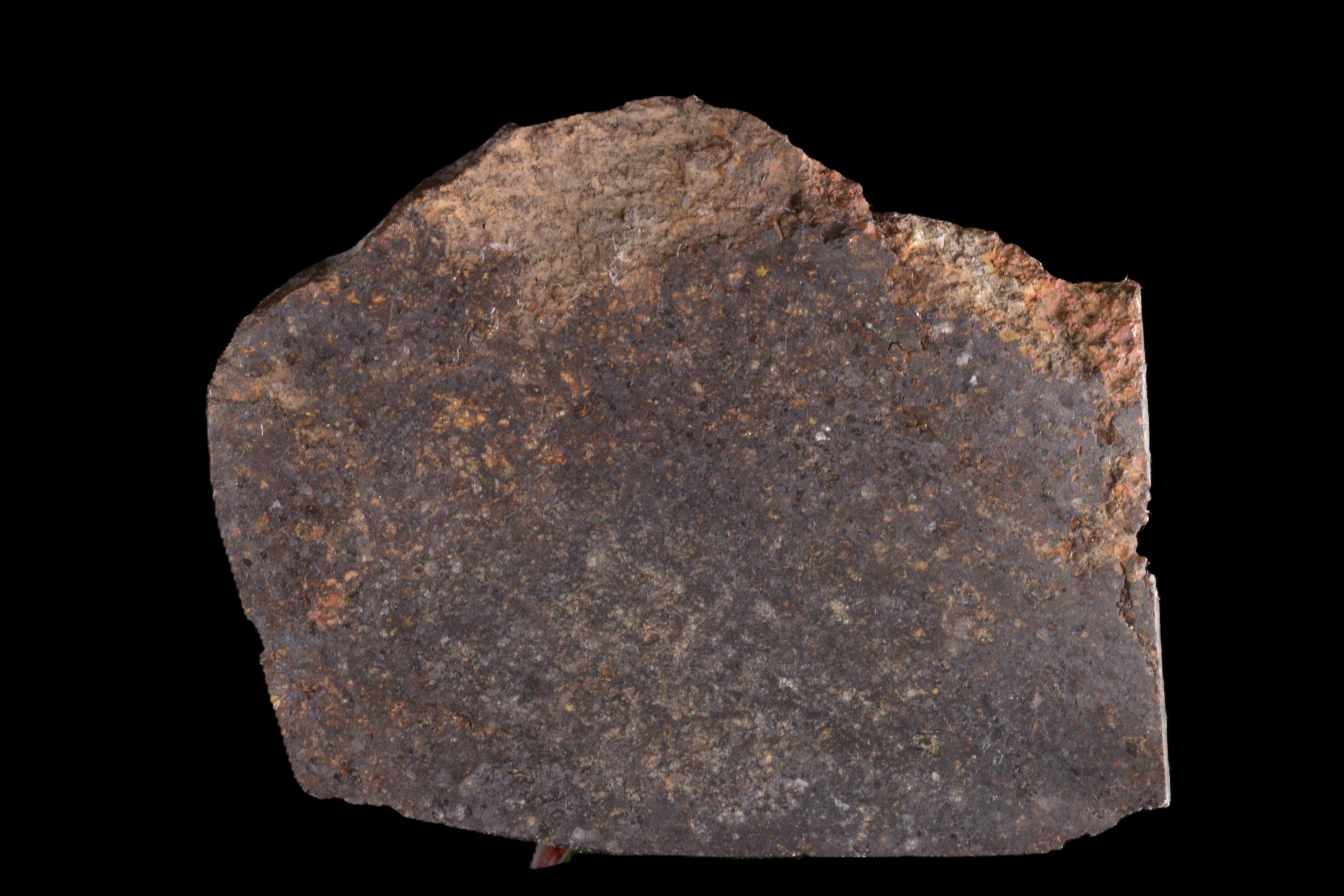 NWA 11757 Ureilite 24.01 G