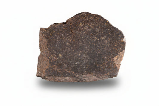 NWA 11757 Ureilite 24.01 G