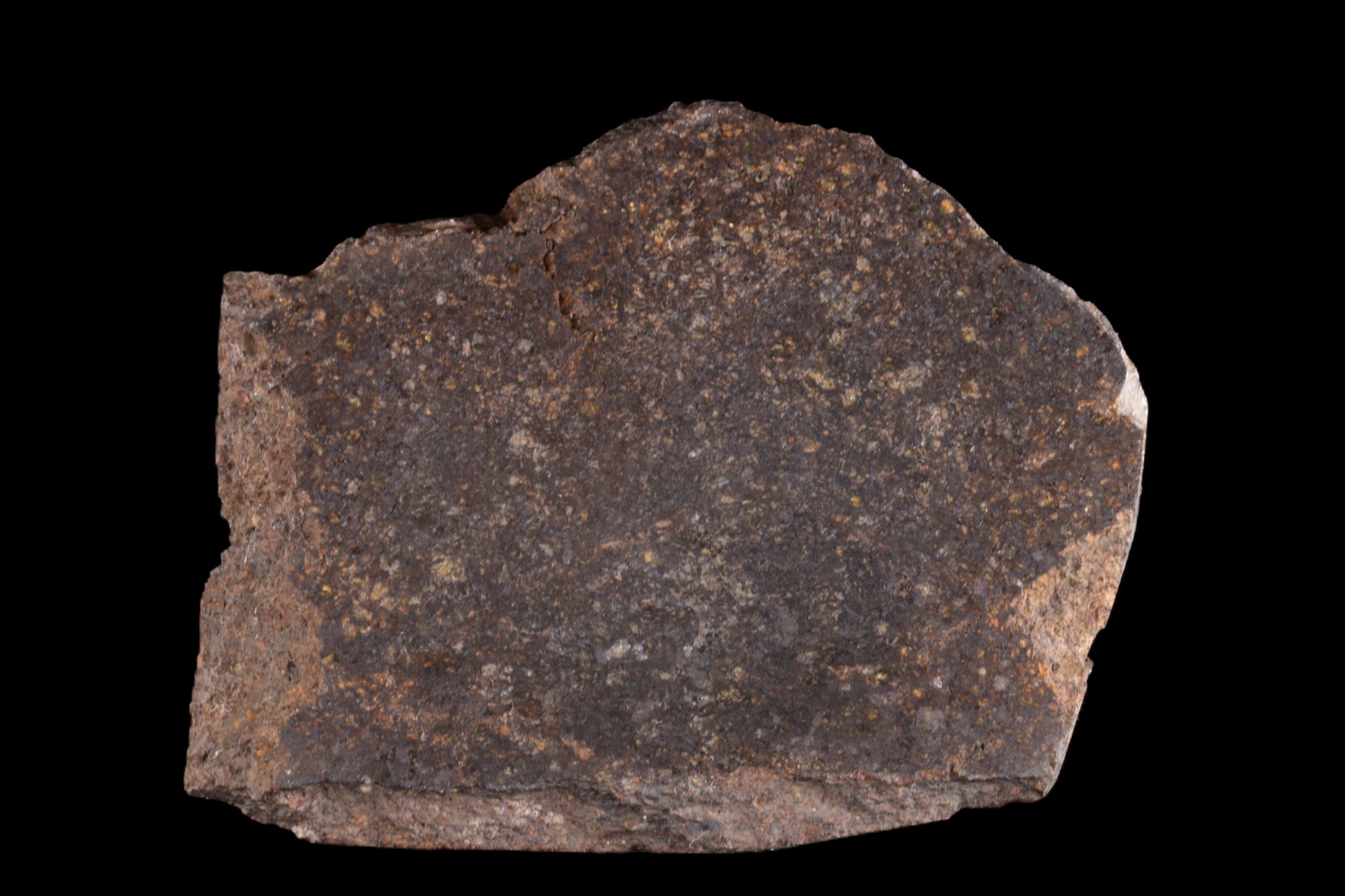 NWA 11757 Ureilite 24.01 G