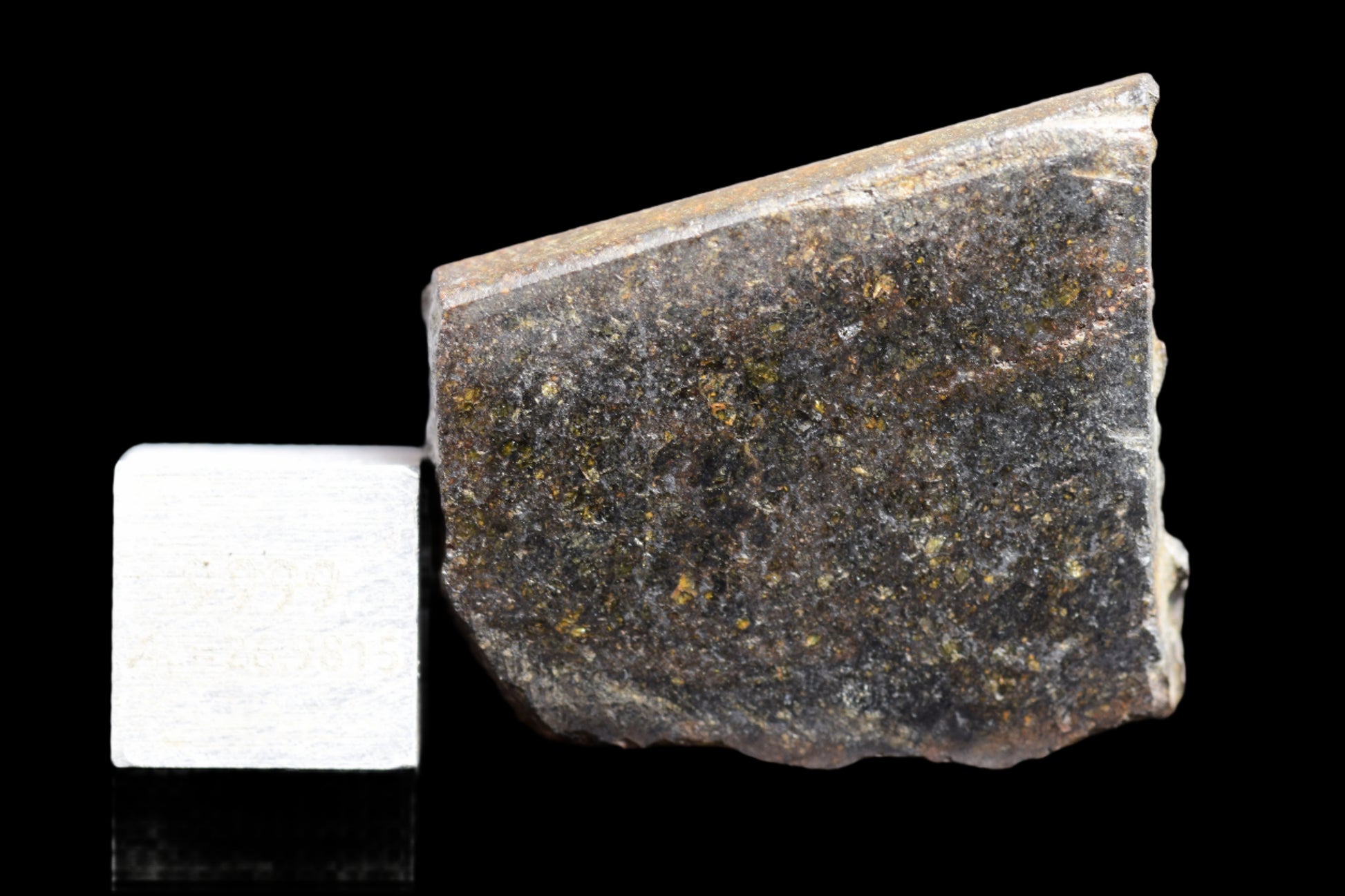 NWA 11757 Ureilite 11.7 G.