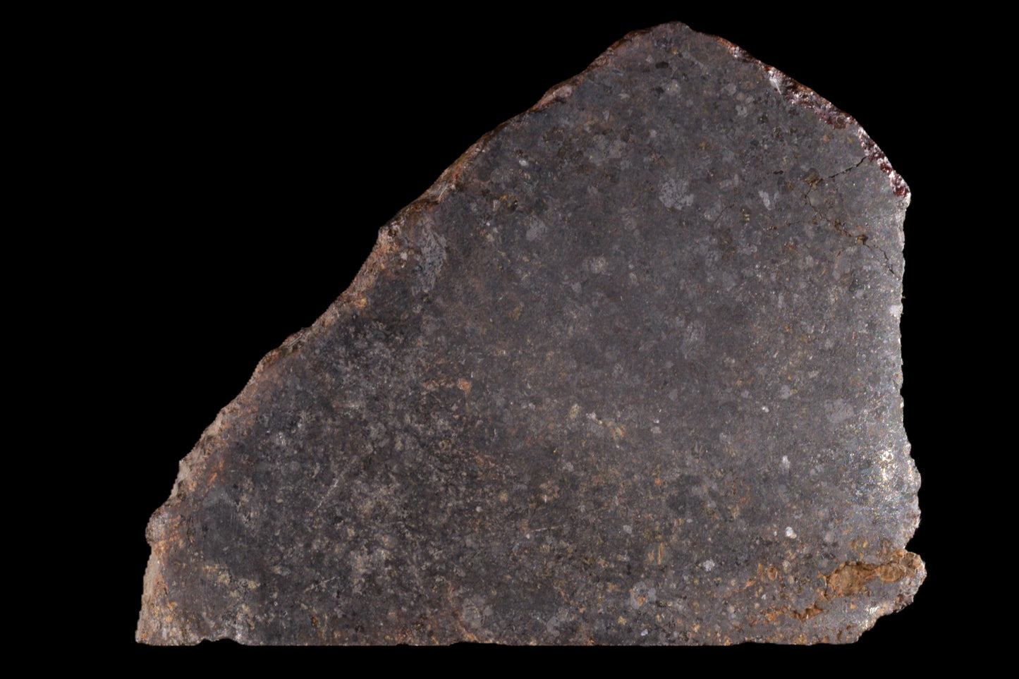 NWA 11757 Ureilite 29.05 G