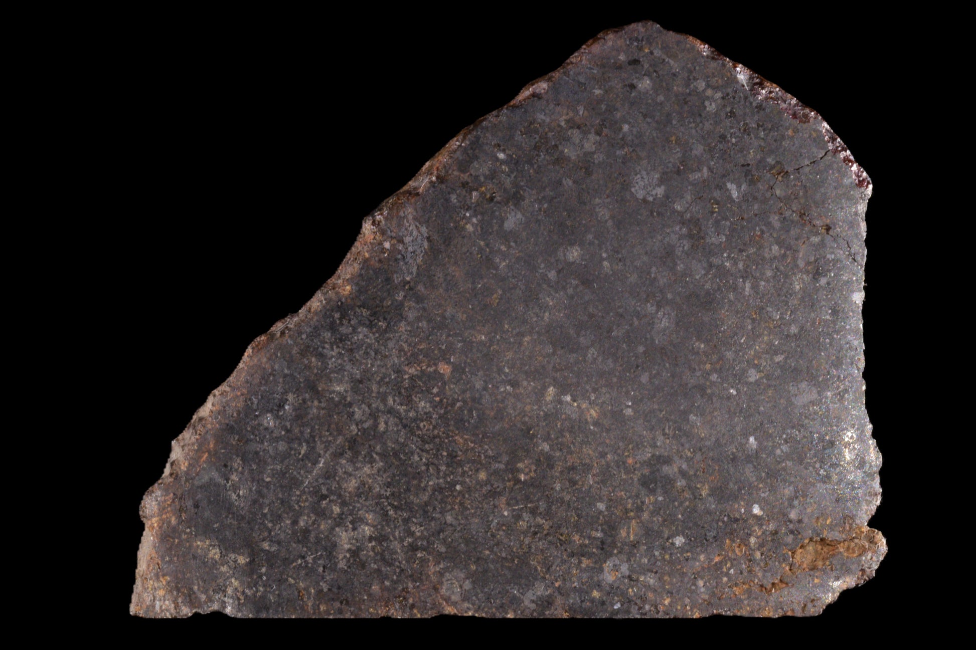 NWA 11757 Ureilite 29.05 G