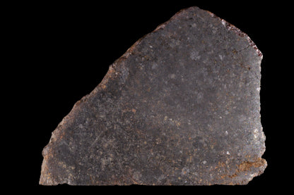 NWA 11757 Ureilite 29.05 G