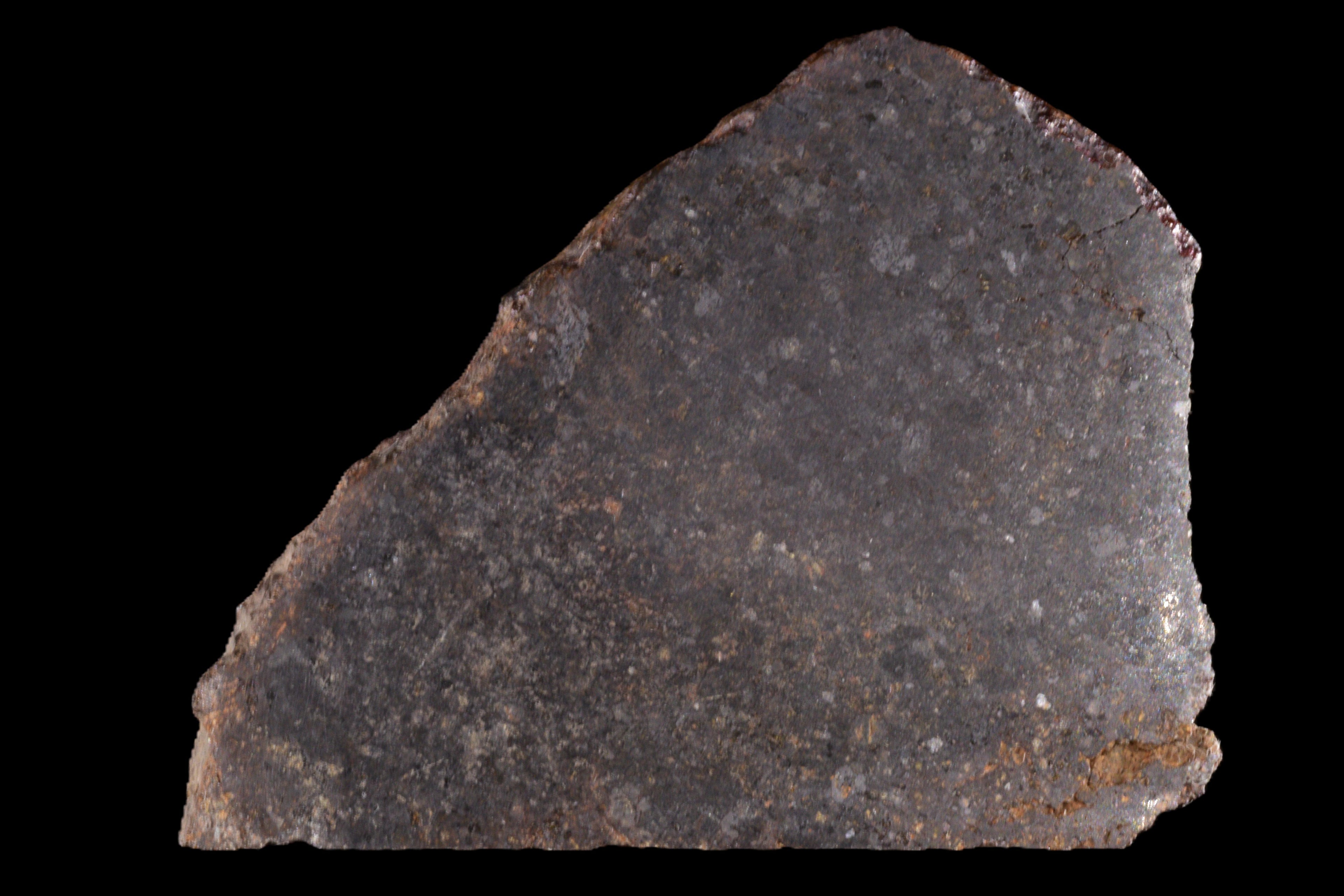 NWA 11757 Ureilite 29.05 G