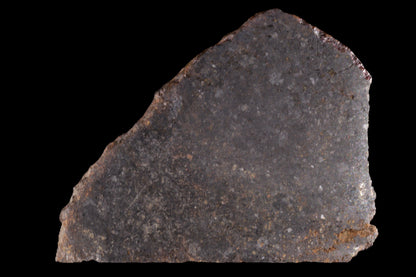 NWA 11757 Ureilite 29.05 G