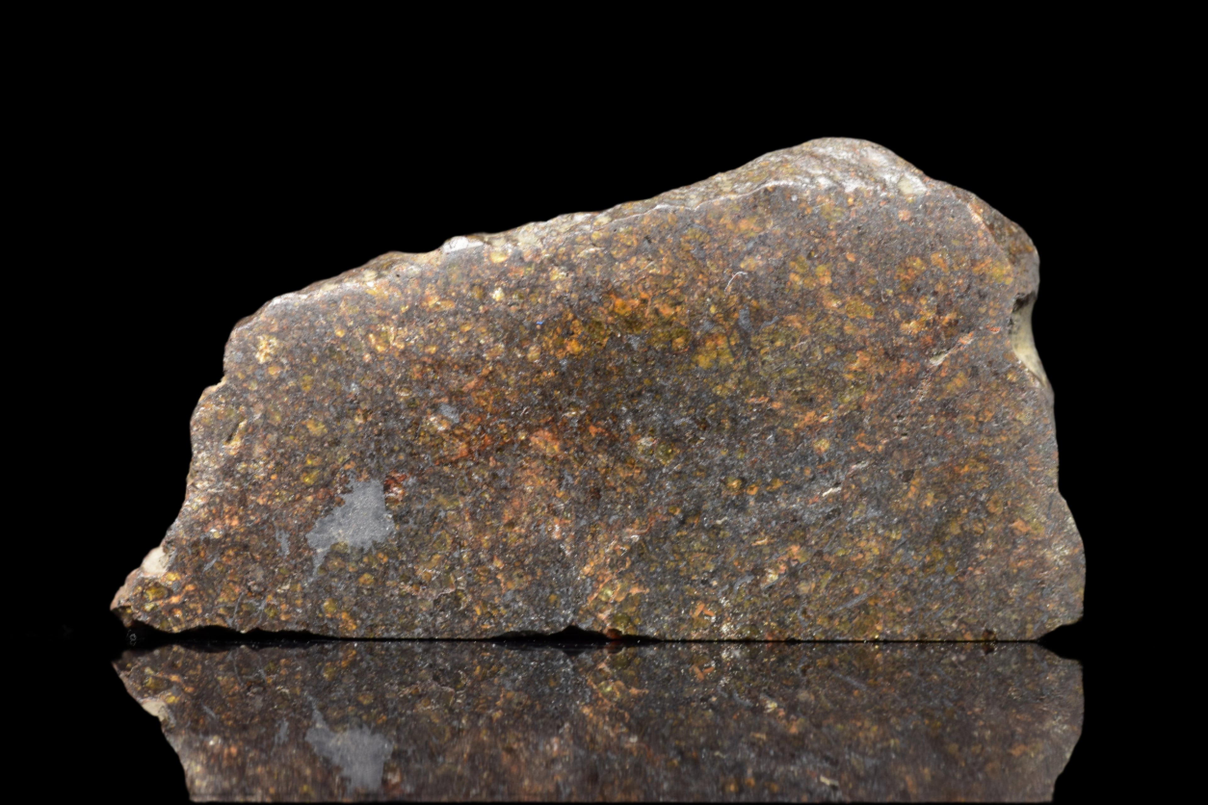 NWA 11757 Ureilite Meteorite For Sale