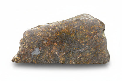 NWA 11757 ureilite meteorite, 9.8 grams, showing dark fusion crust and mineral-rich interior, from Buy Meteorite, LLC.