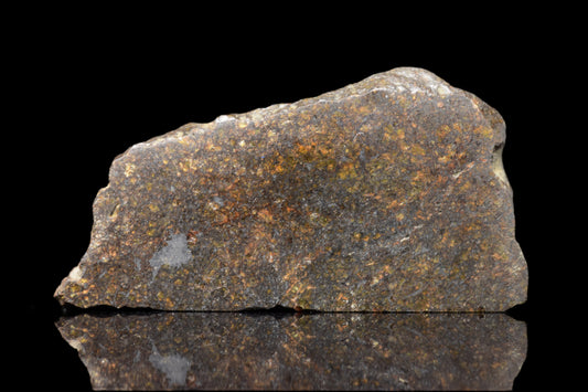 NWA 11757 Ureilite 9.8 G.