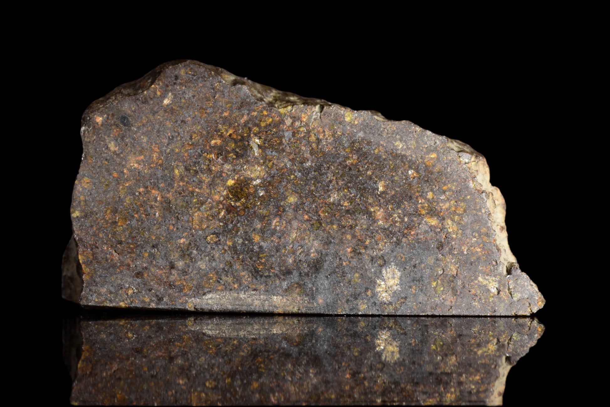 NWA 11757 ureilite meteorite sample weighing 9.8 grams, featuring dark, textured surface and metallic mineral inclusions.
