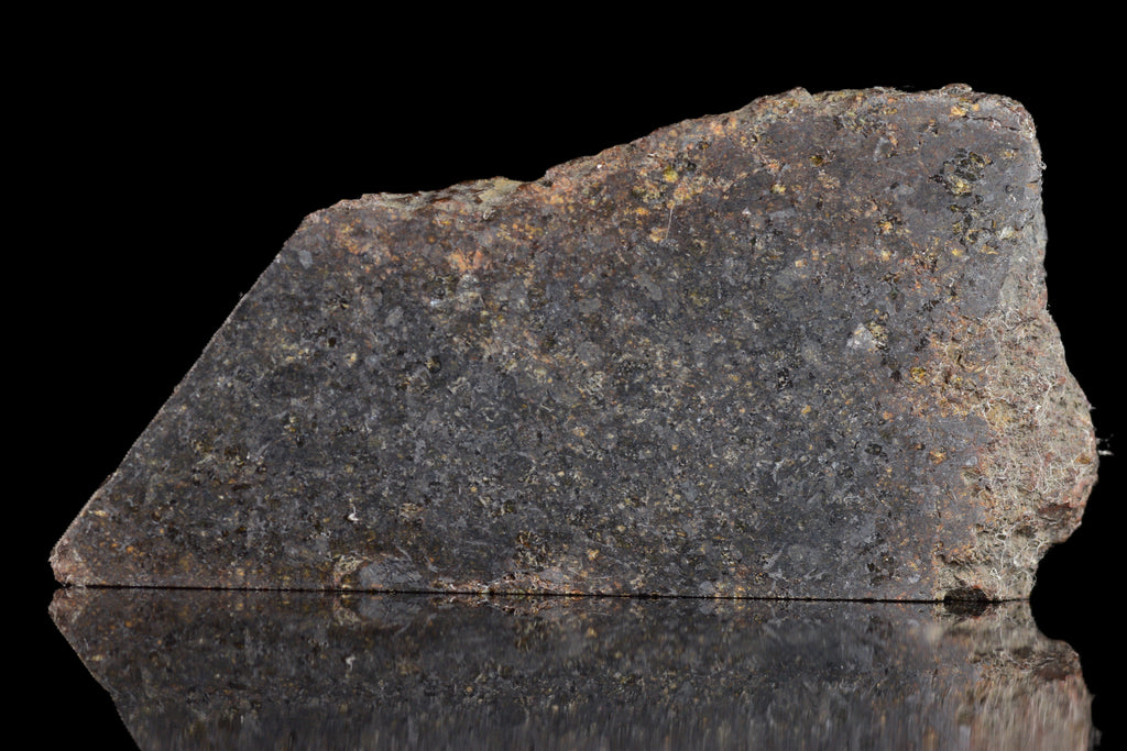 NWA 11757 Ureilite Meteorite For Sale