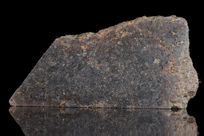 NWA 11757 Ureilite Meteorite For Sale