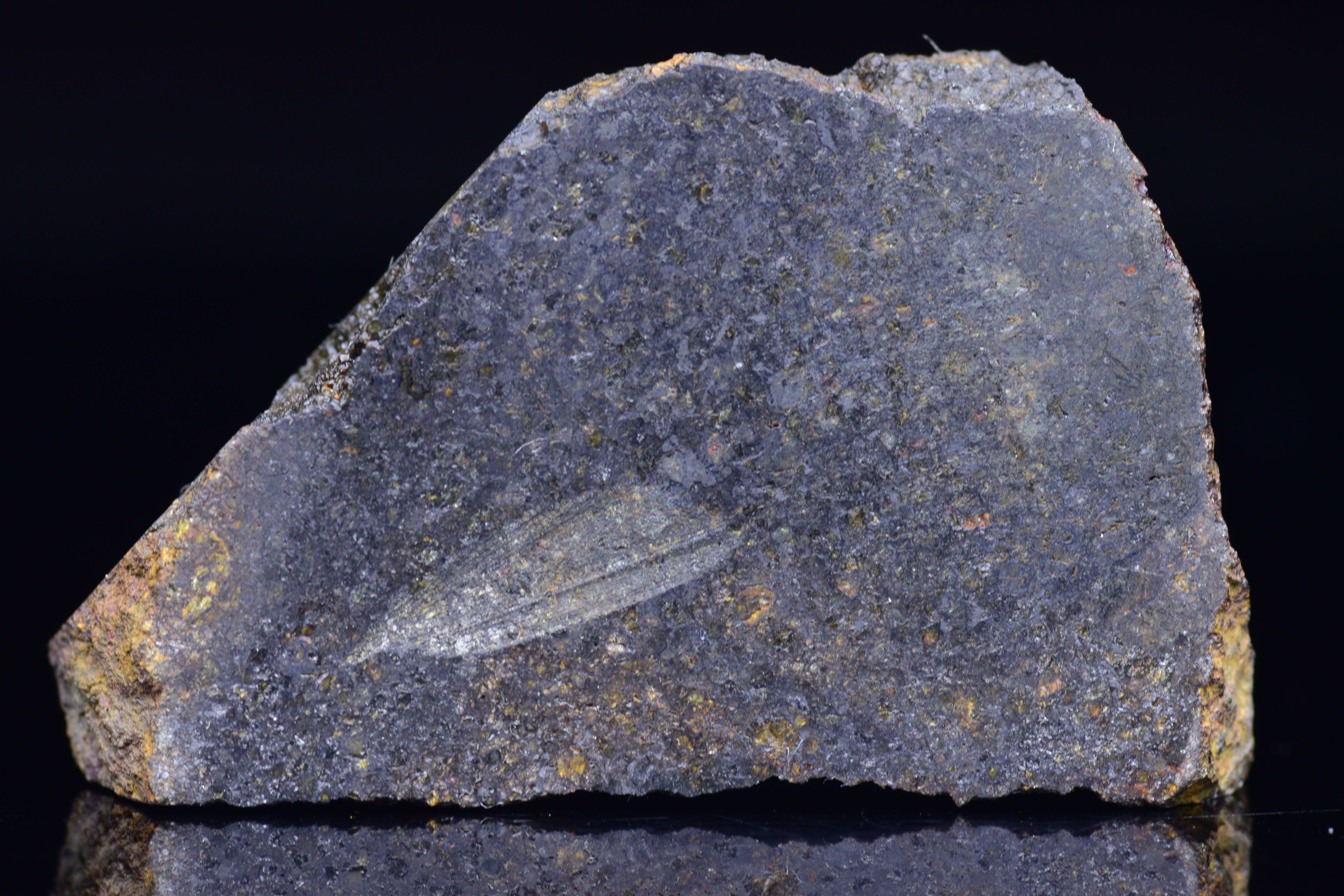 NWA 11757 Ureilite Meteorite For Sale