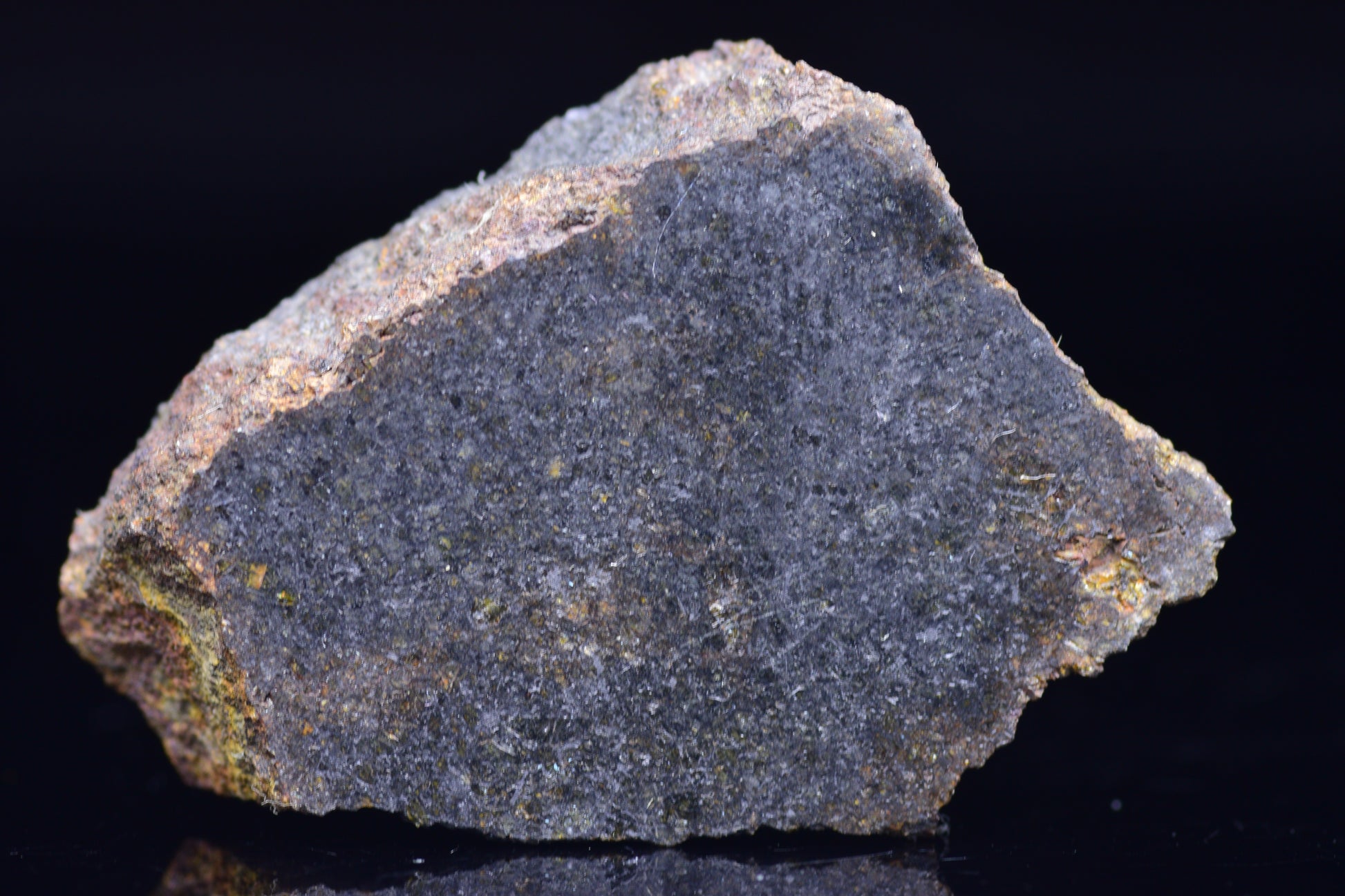 NWA 11757 Ureilite Meteorite For Sale
