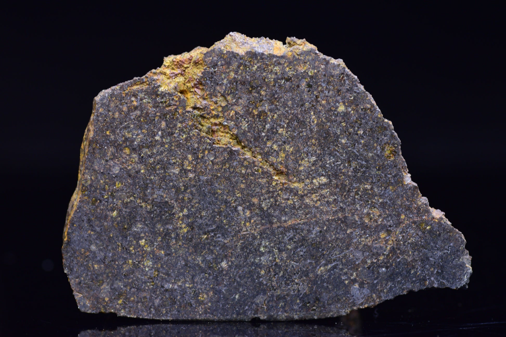 NWA 11757 Ureilite Meteorite For Sale