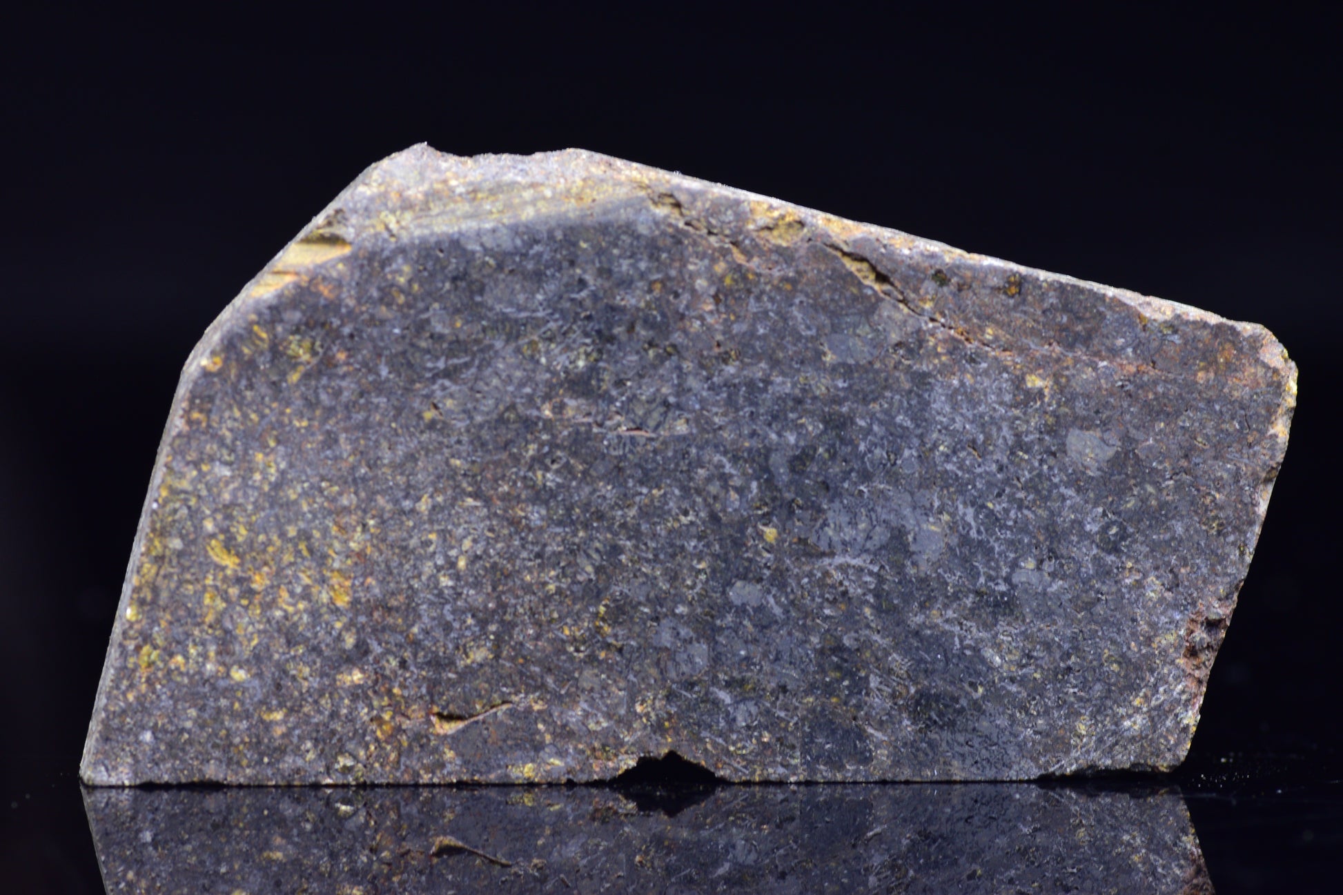 NWA 11757 Ureilite Meteorite For Sale