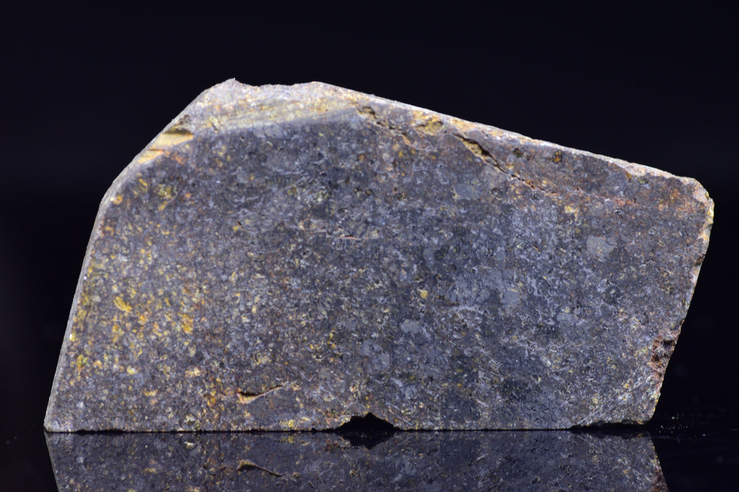 NWA 11757 Ureilite Meteorite For Sale