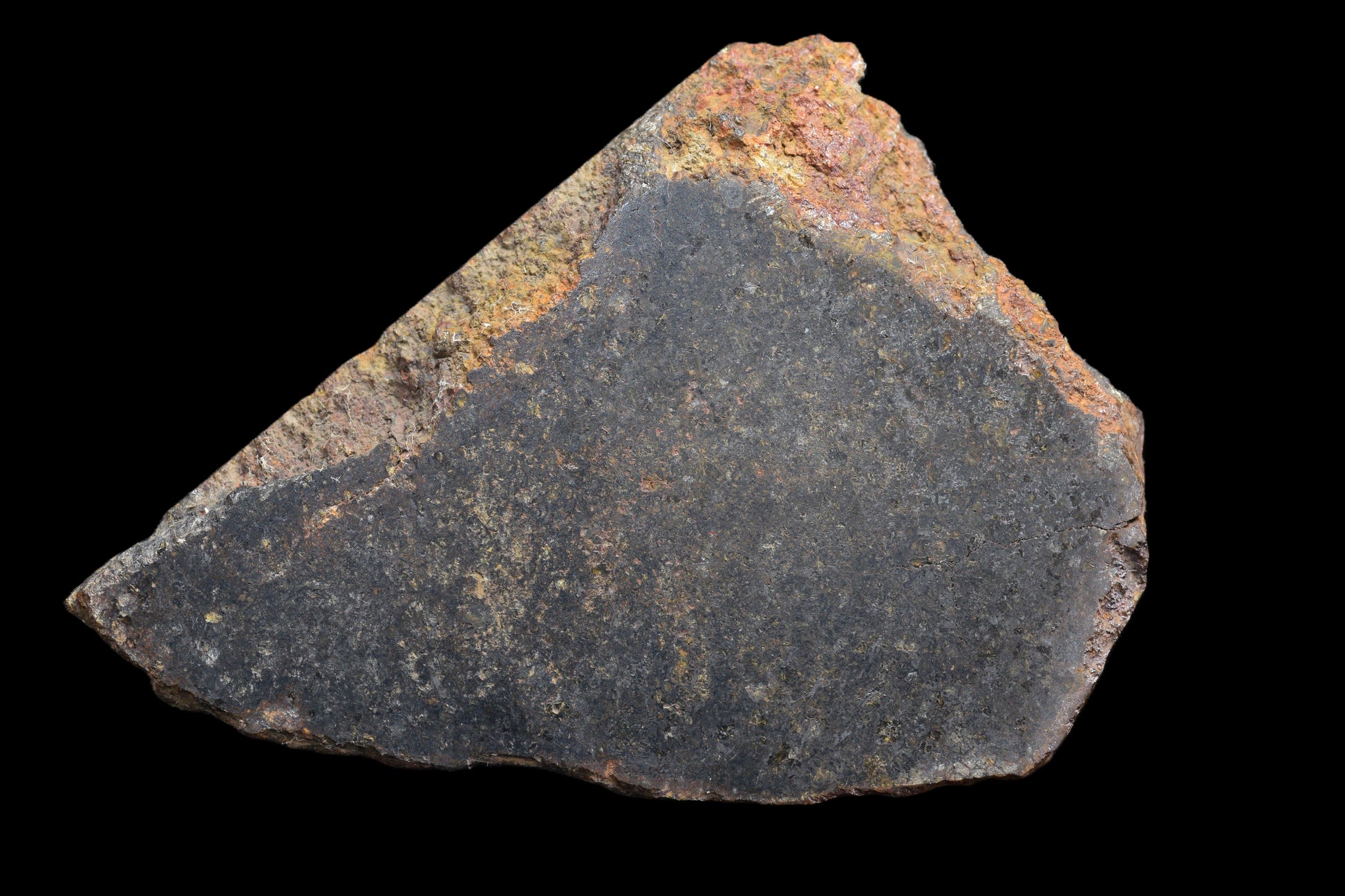 NWA 11757 Ureilite Meteorite For Sale
