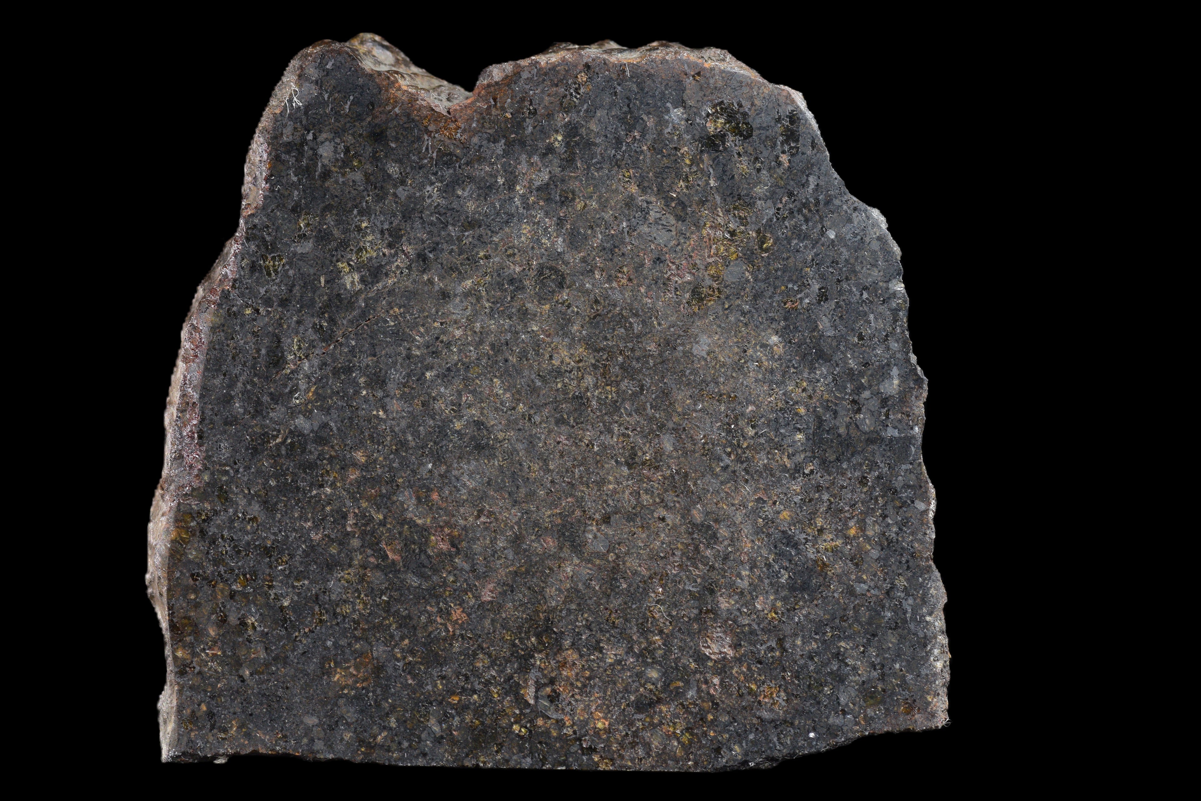 NWA 11757 Ureilite Meteorite For Sale
