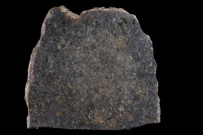NWA 11757 Ureilite Meteorite For Sale