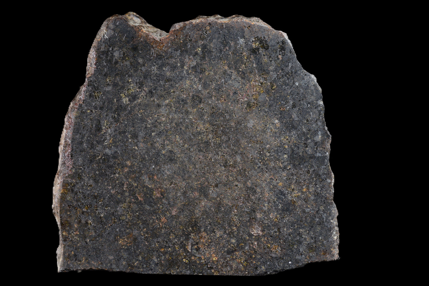NWA 11757 Ureilite Meteorite For Sale