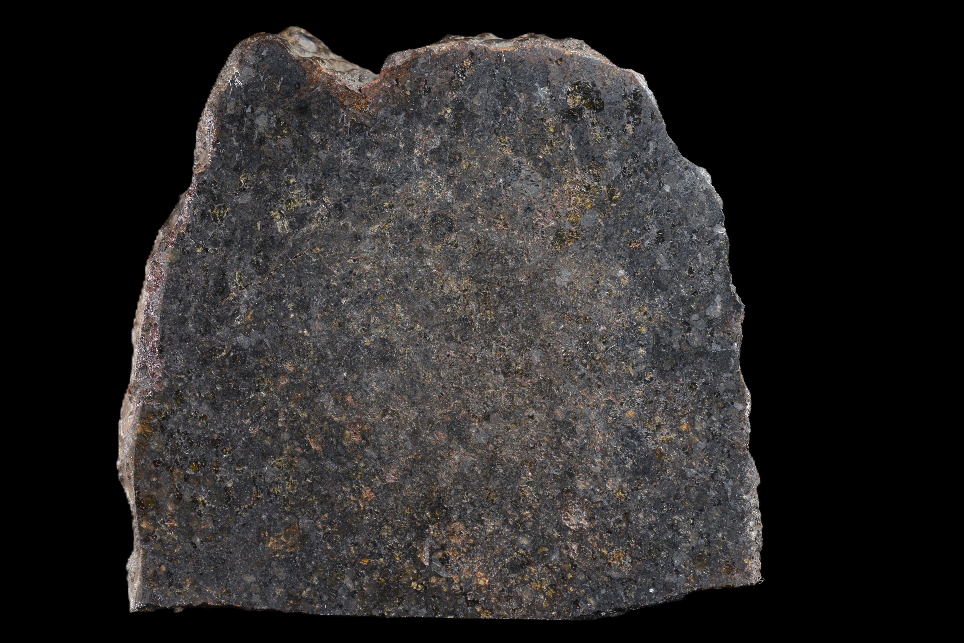 NWA 11757 Ureilite Meteorite For Sale
