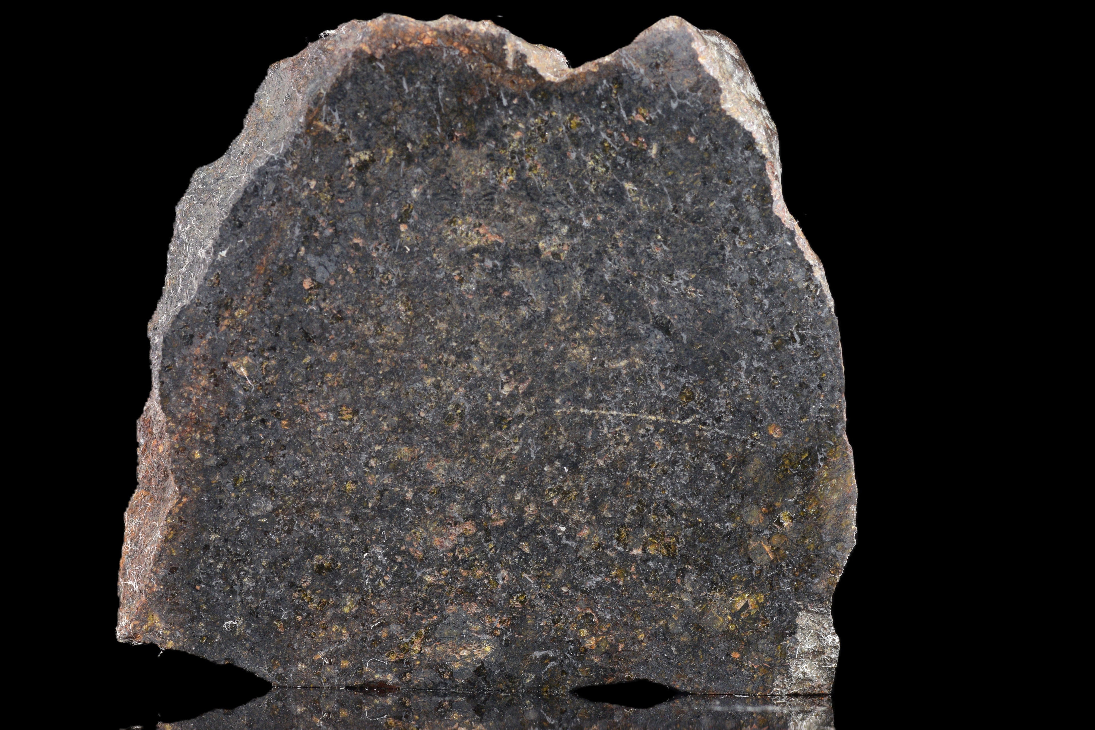 NWA 11757 Ureilite Meteorite For Sale