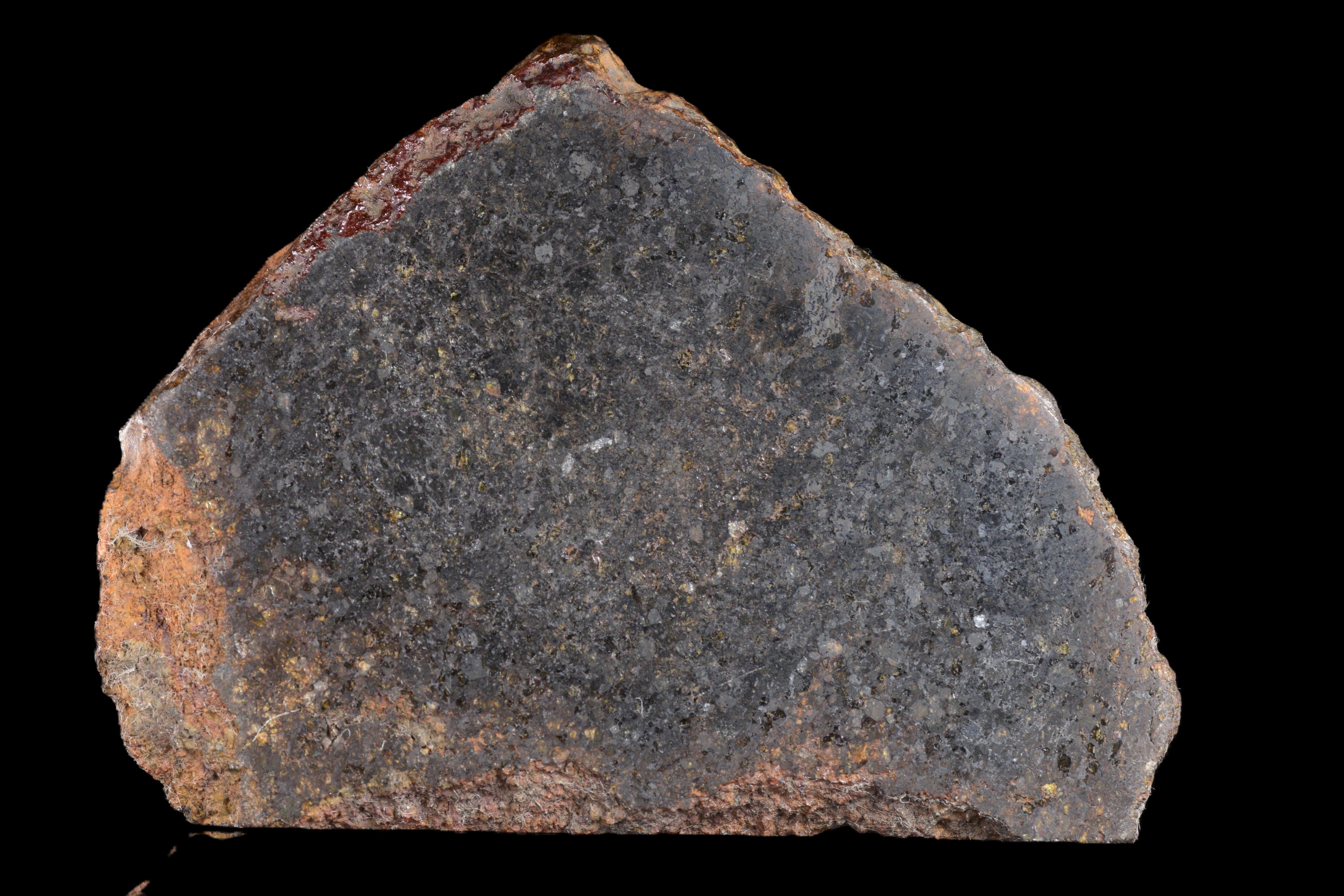 NWA 11757 Ureilite Meteorite For Sale