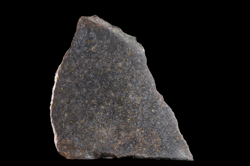 NWA 11757 Ureilite Meteorite For Sale